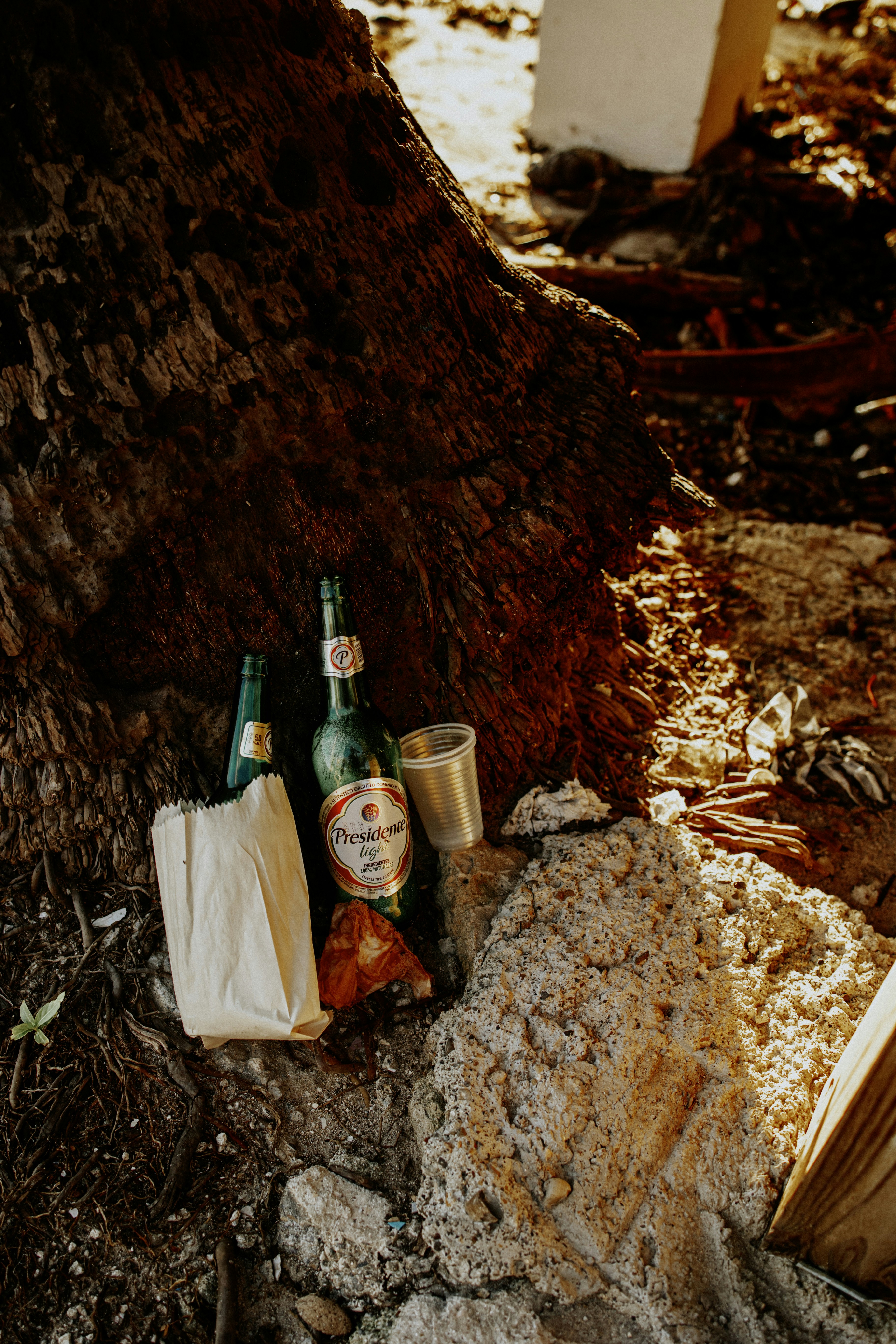 Un par de botellas de cerveza encima de un montón de tierra