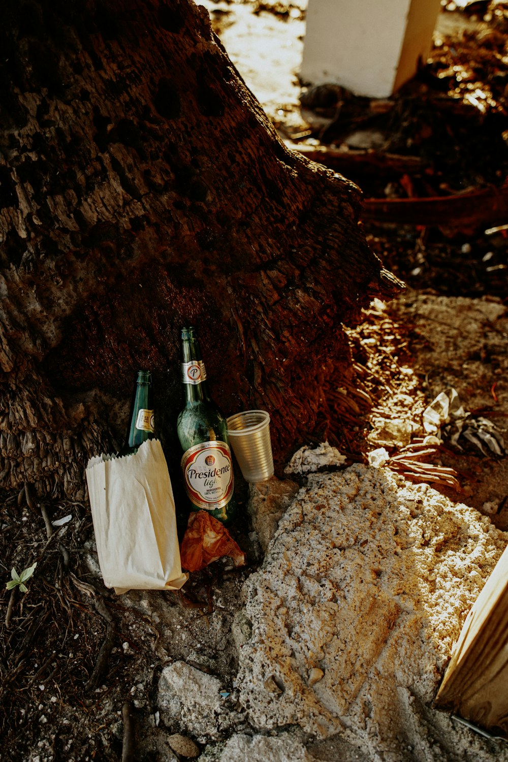 a couple of bottles of beer sitting on top of a pile of dirt