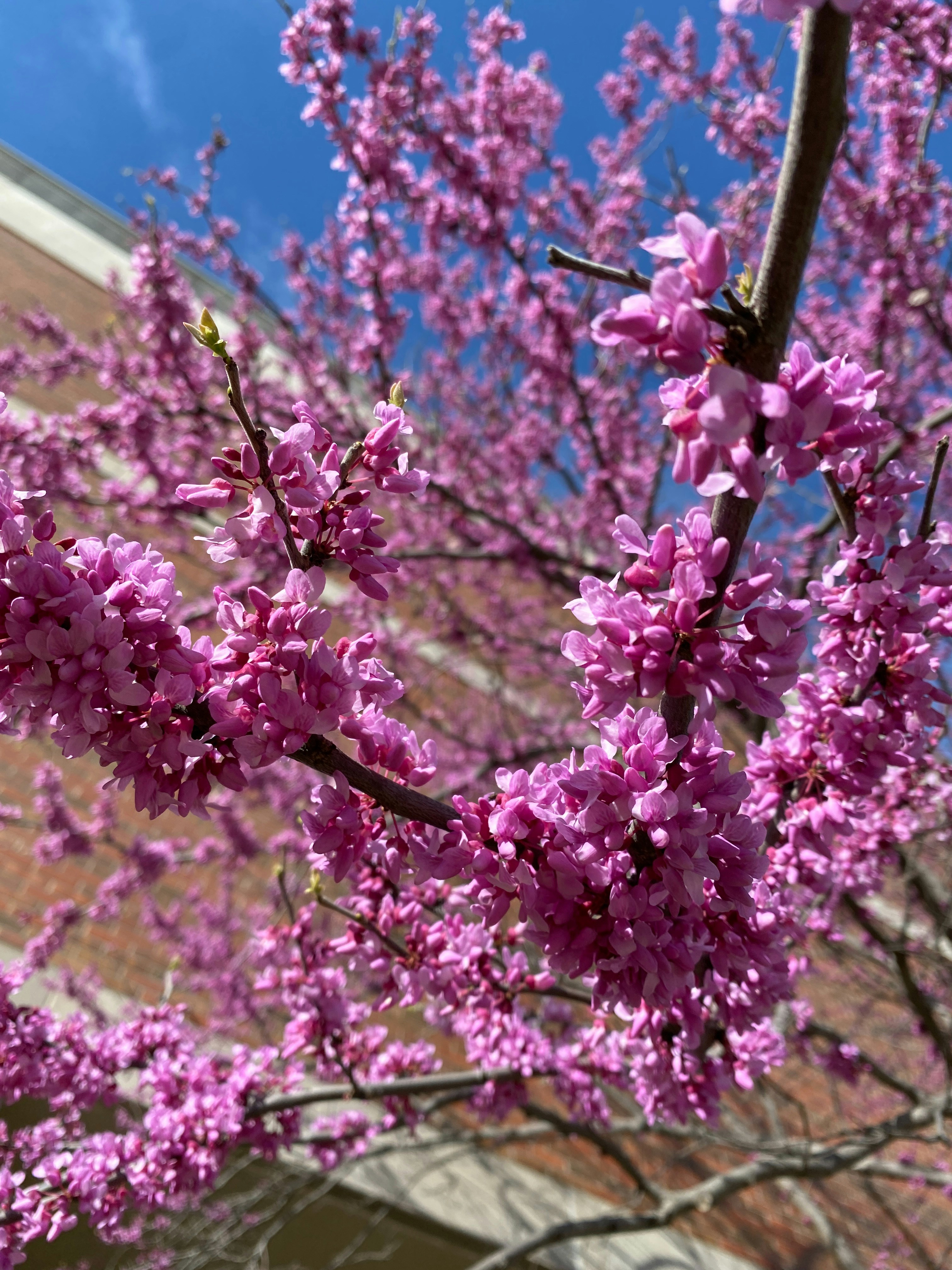 Photo by americanjael