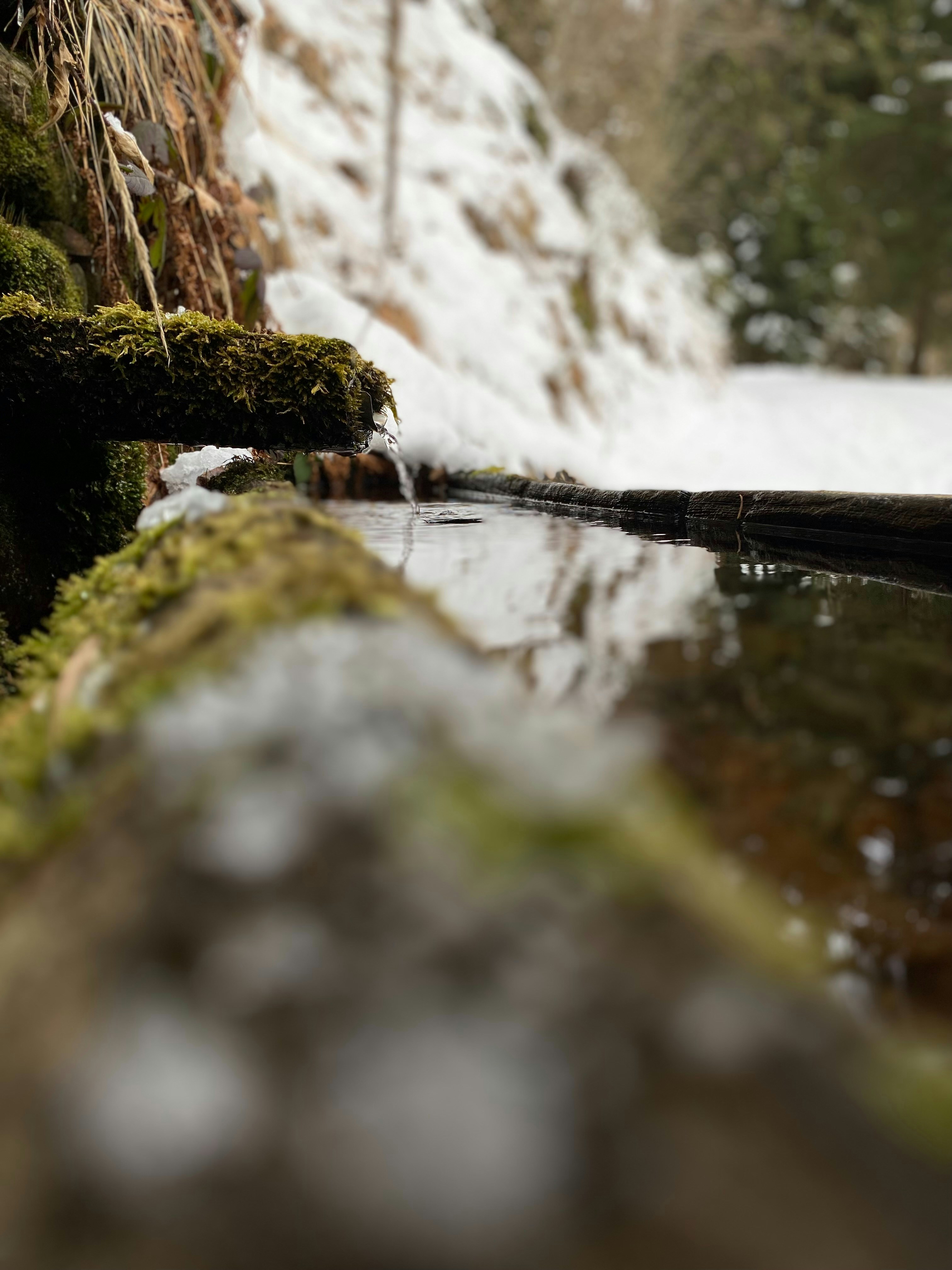 Photo by chantilly_river