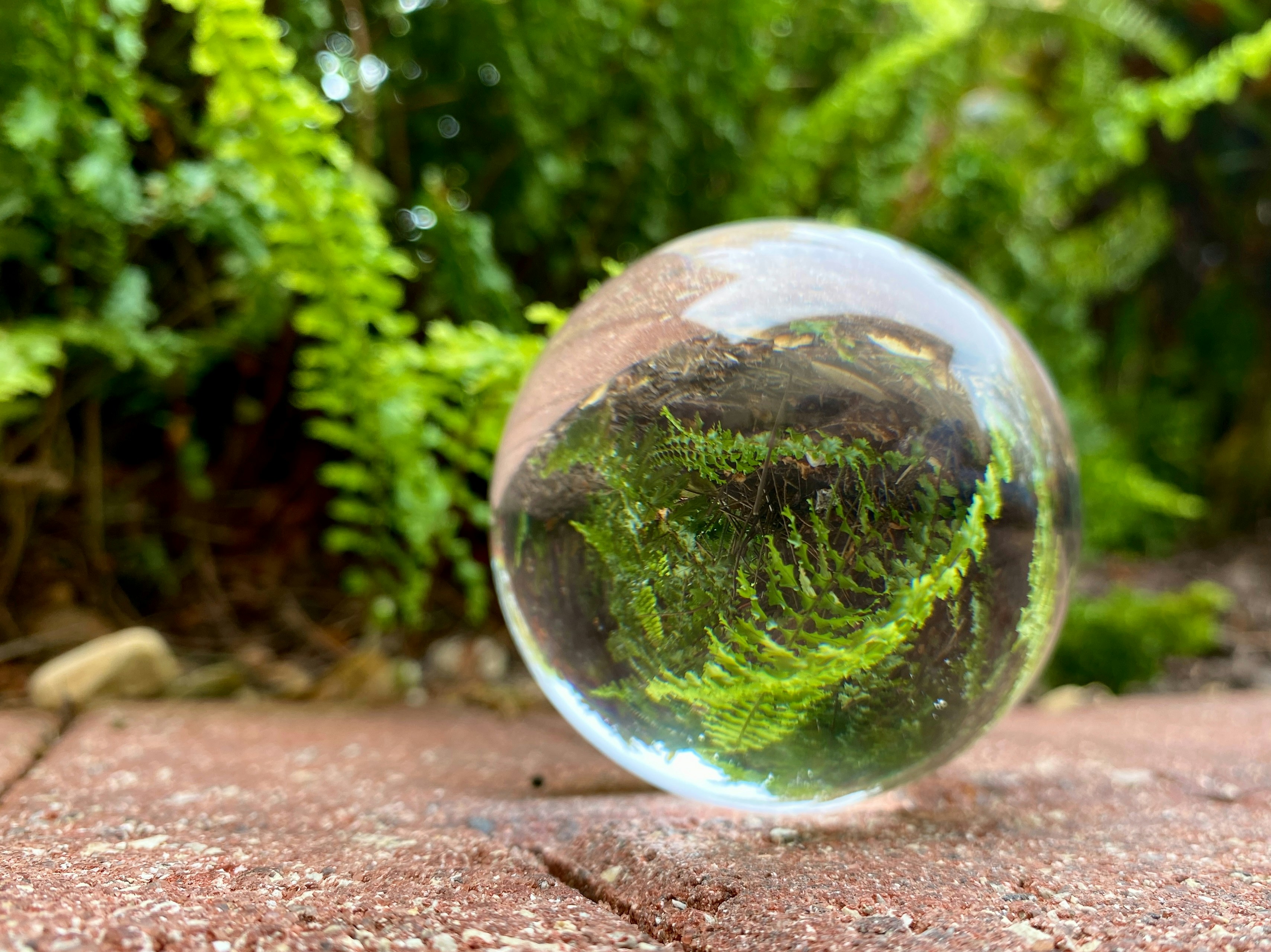 Photo by americanjael