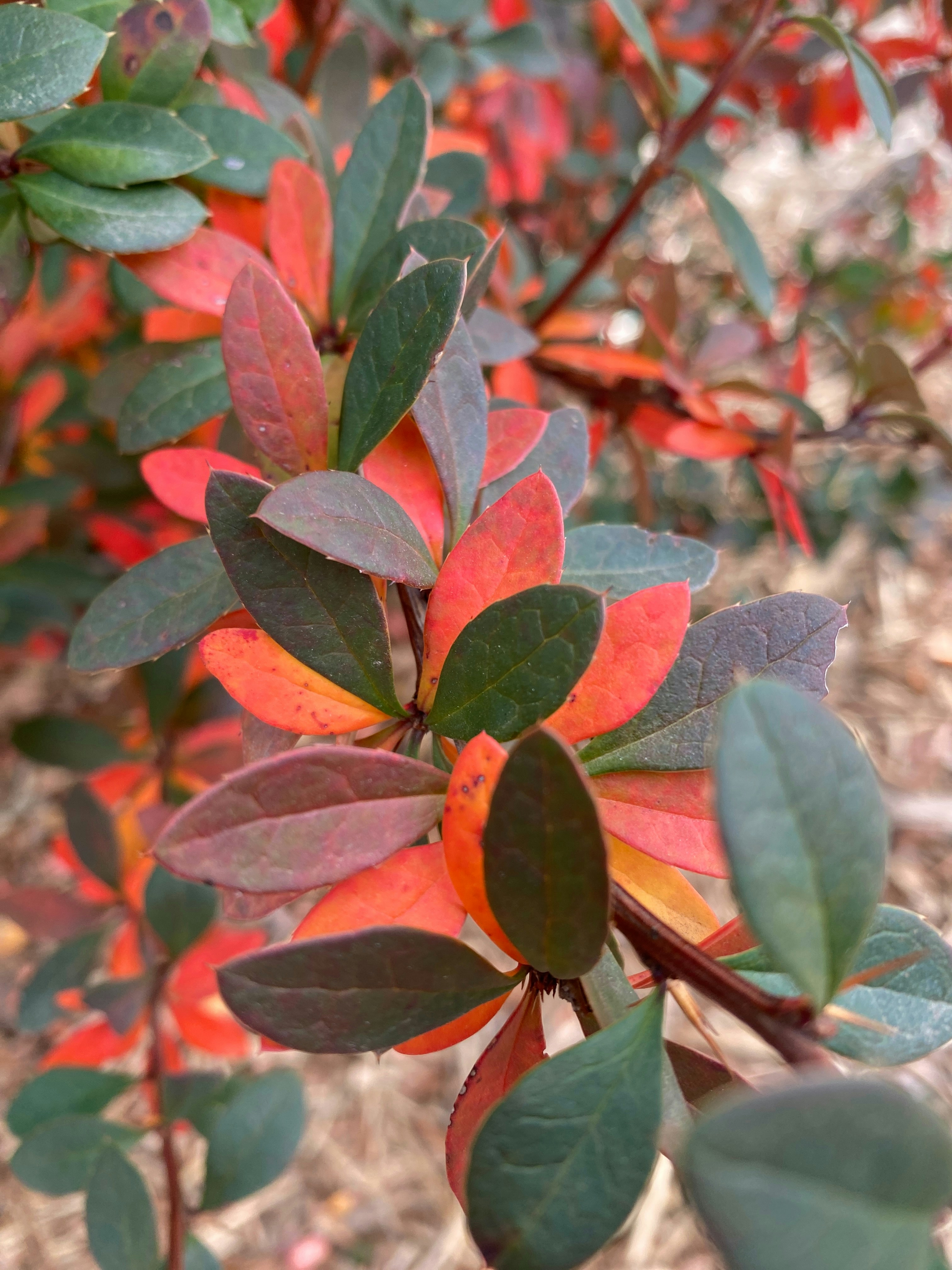 Photo by americanjael