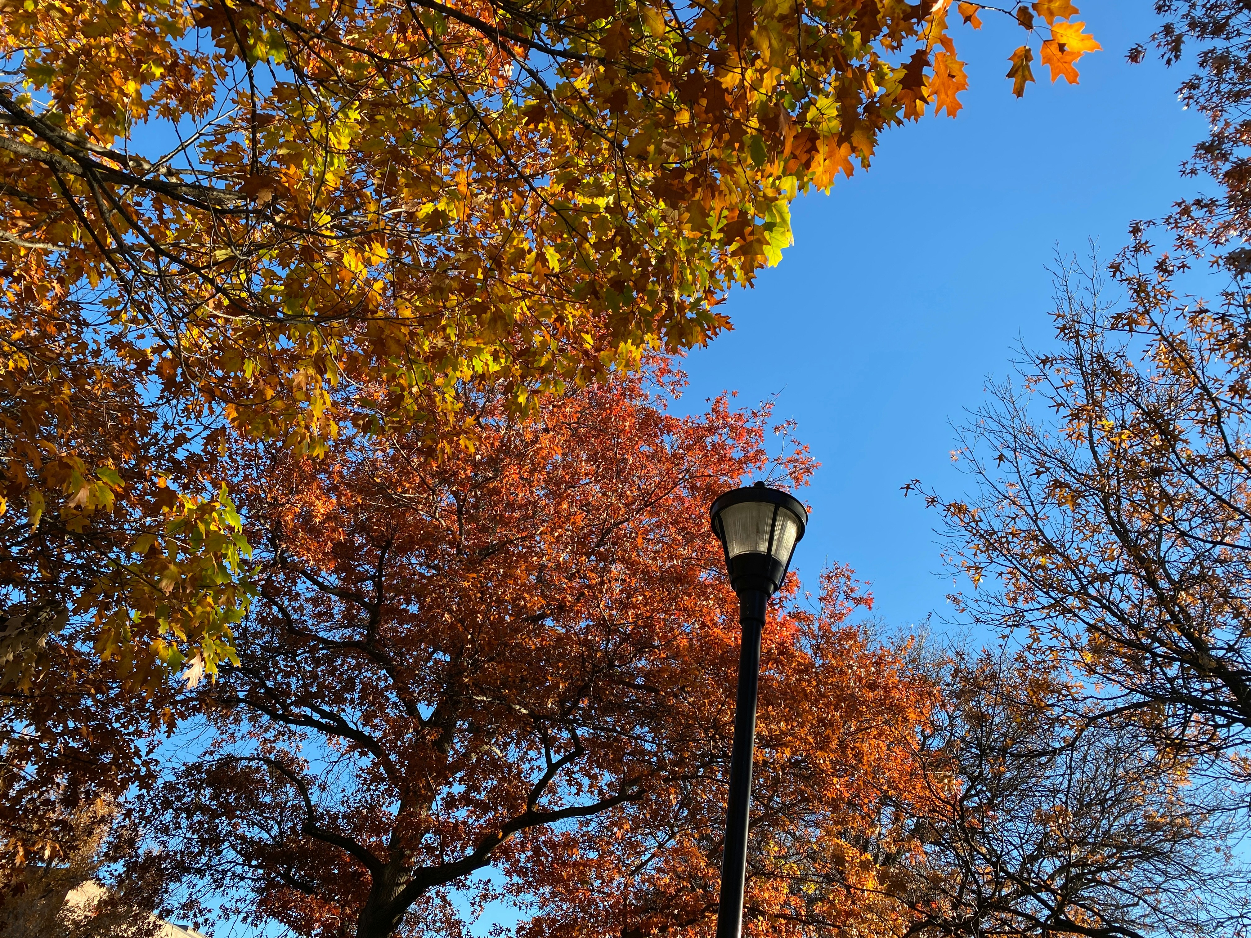 Photo by americanjael