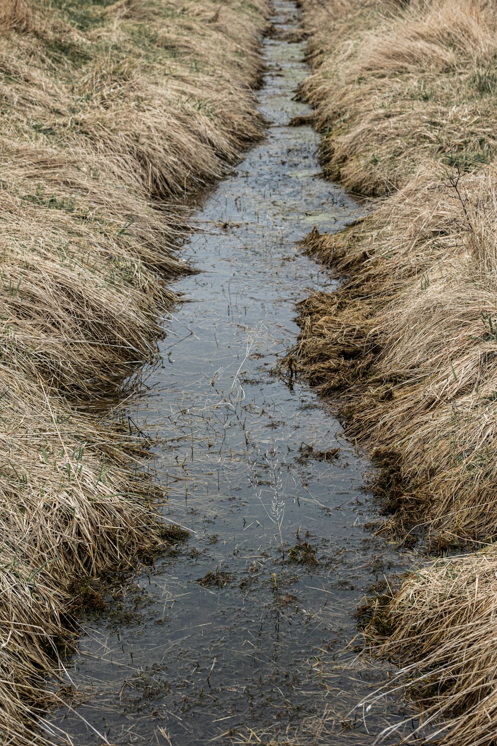 a stream of water running through a dry grass field