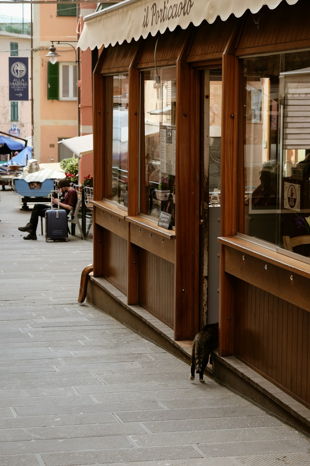 a cat is standing outside of a restaurant