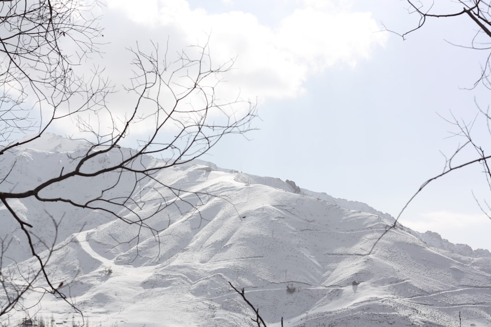 a snow covered mountain with trees in the foreground