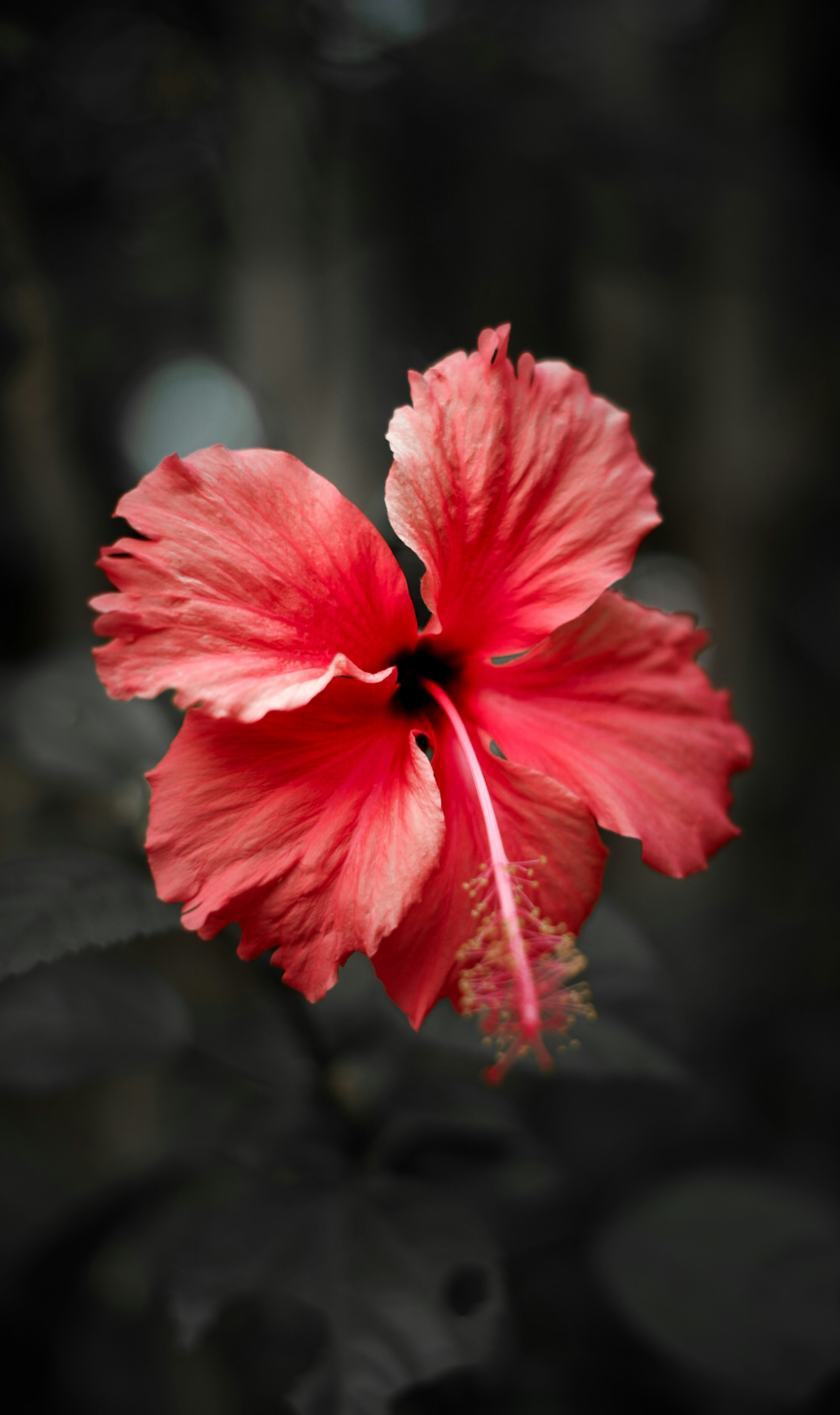 Photo by illiuminous