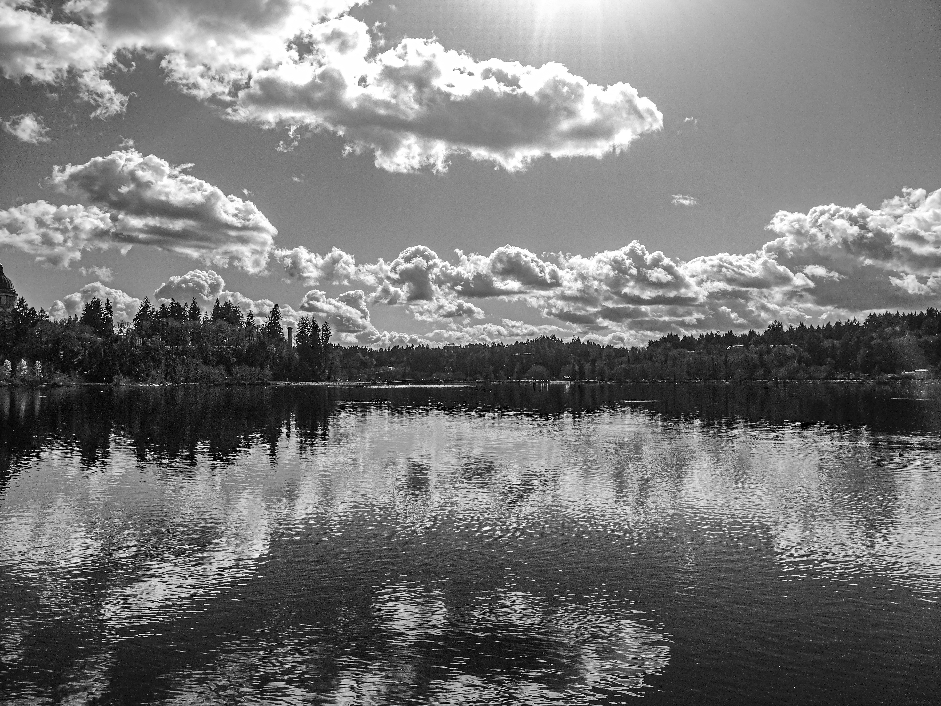 Photo by prphotography262