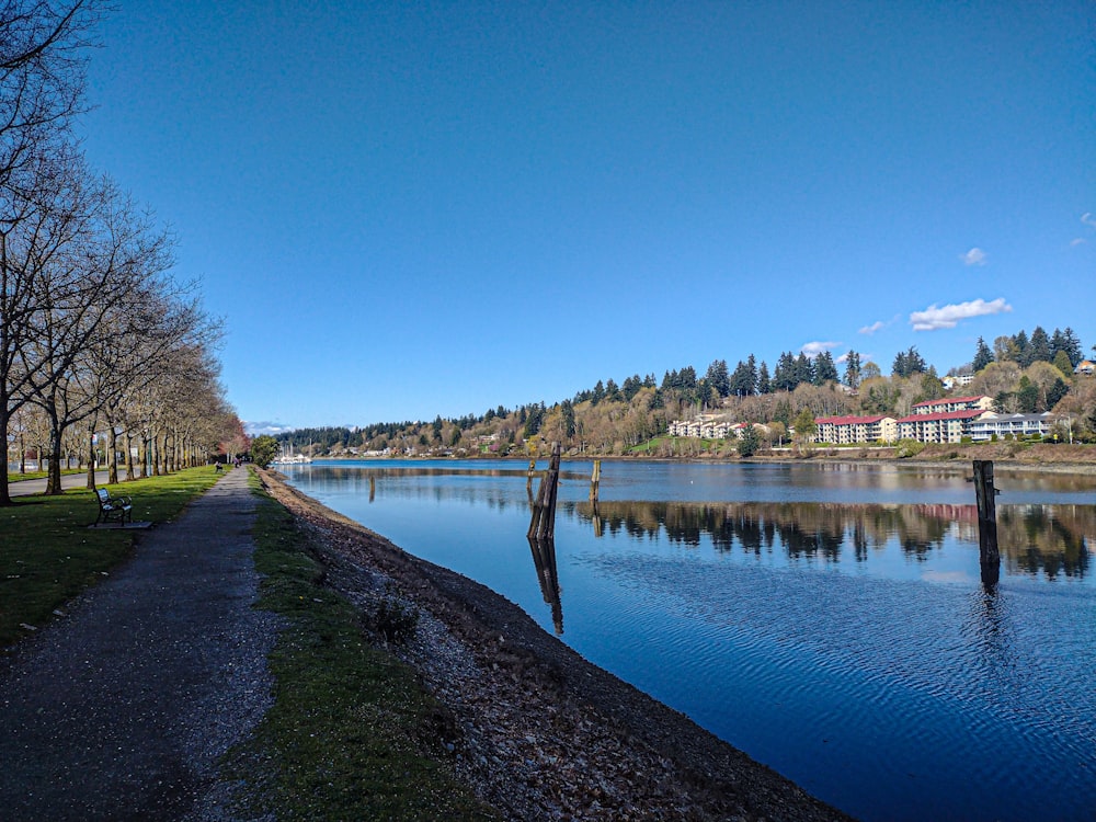 a body of water with trees and buildings in the background