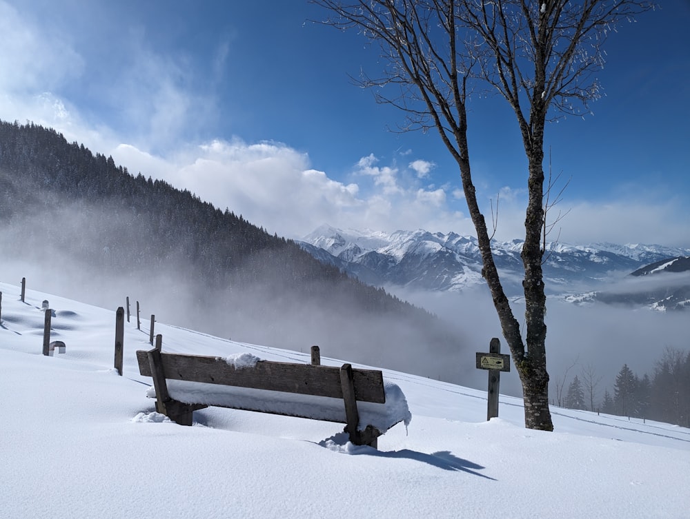 a bench sitting on top of a snow covered slope