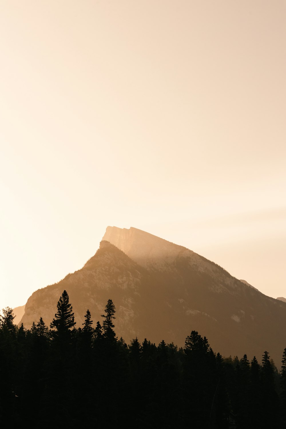 a large mountain with trees in the foreground