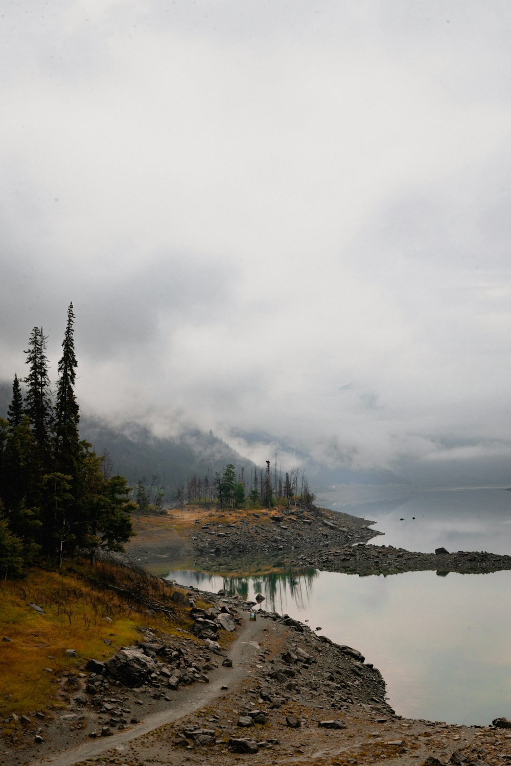 a large body of water surrounded by trees