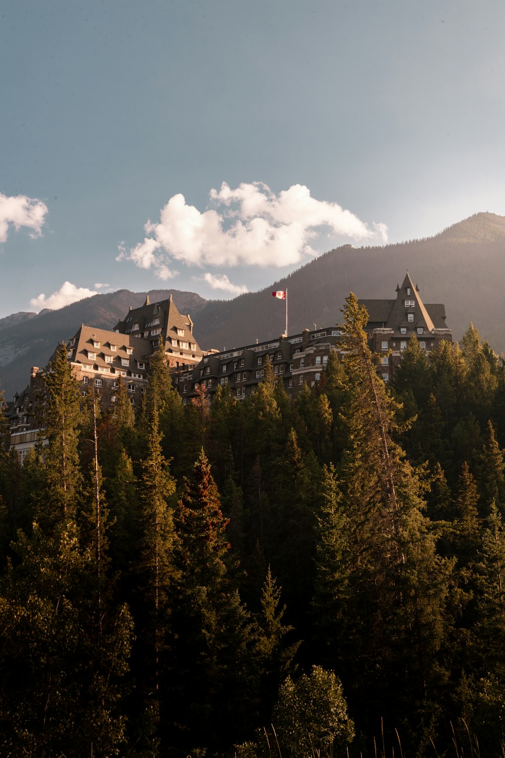 a large building sitting on top of a lush green forest