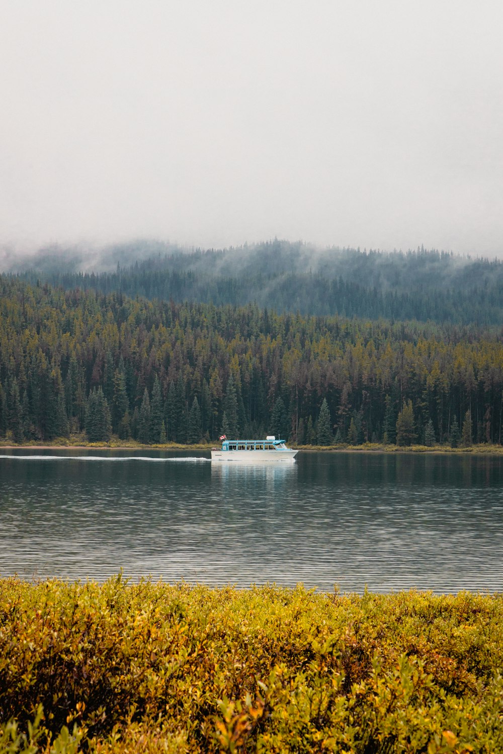 a boat on a lake surrounded by trees