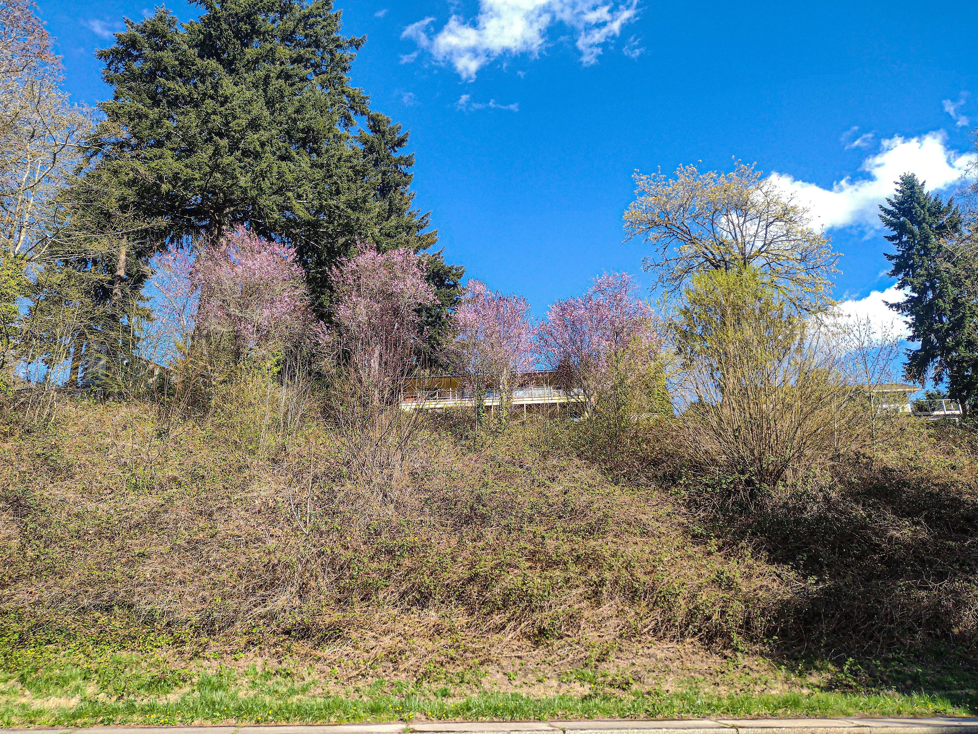 Photo by prphotography262