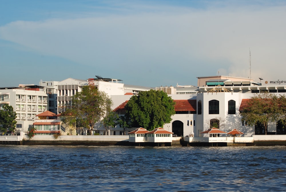 a body of water with buildings in the background