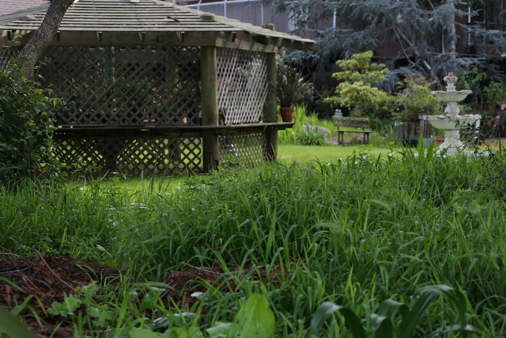 a gazebo sitting in the middle of a lush green field