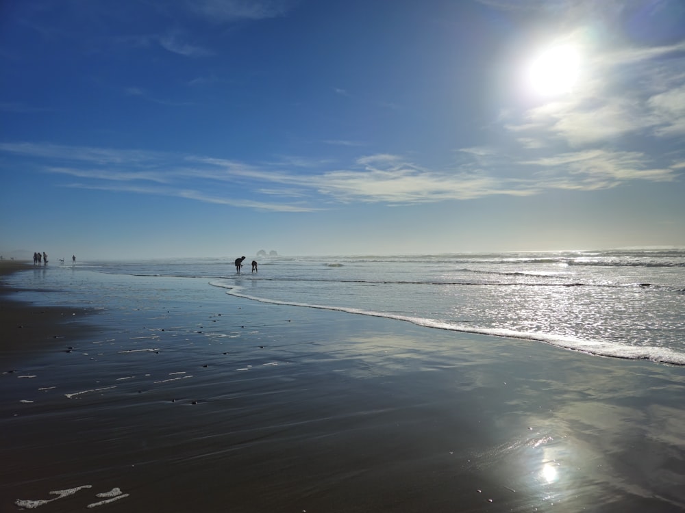 a group of people standing on top of a beach next to the ocean