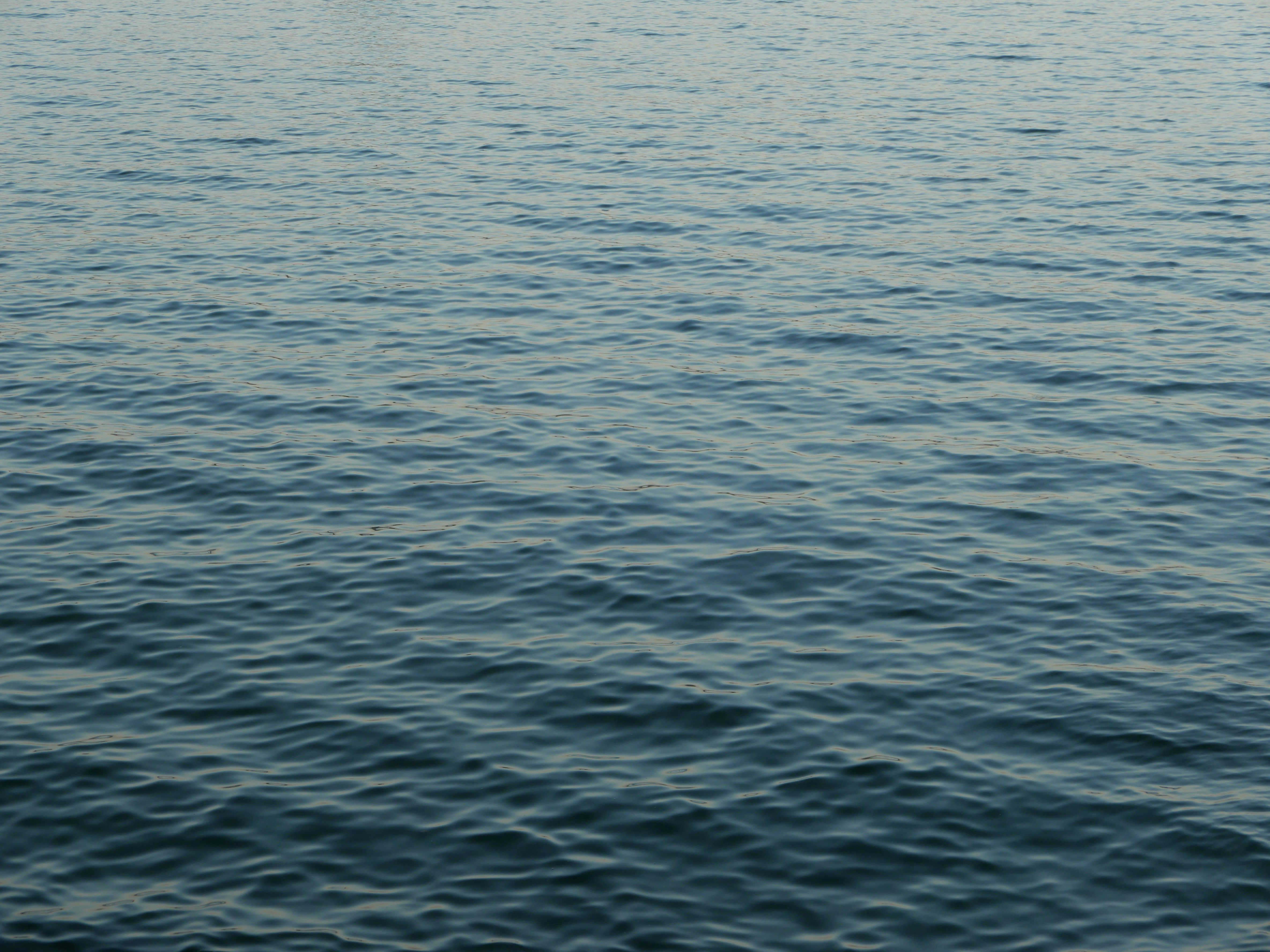 Photo by sugarcaneee