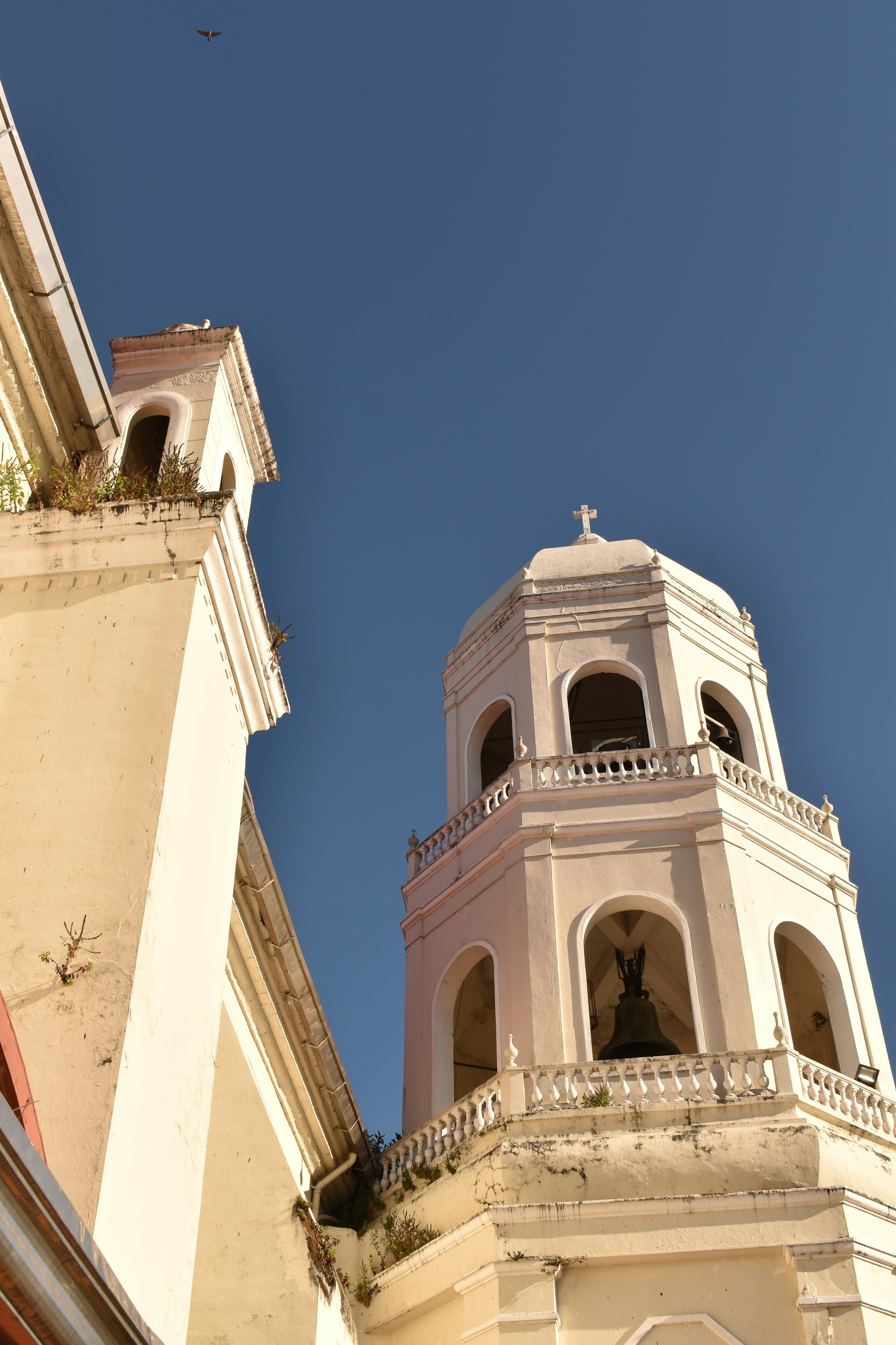 Photo by johannescls