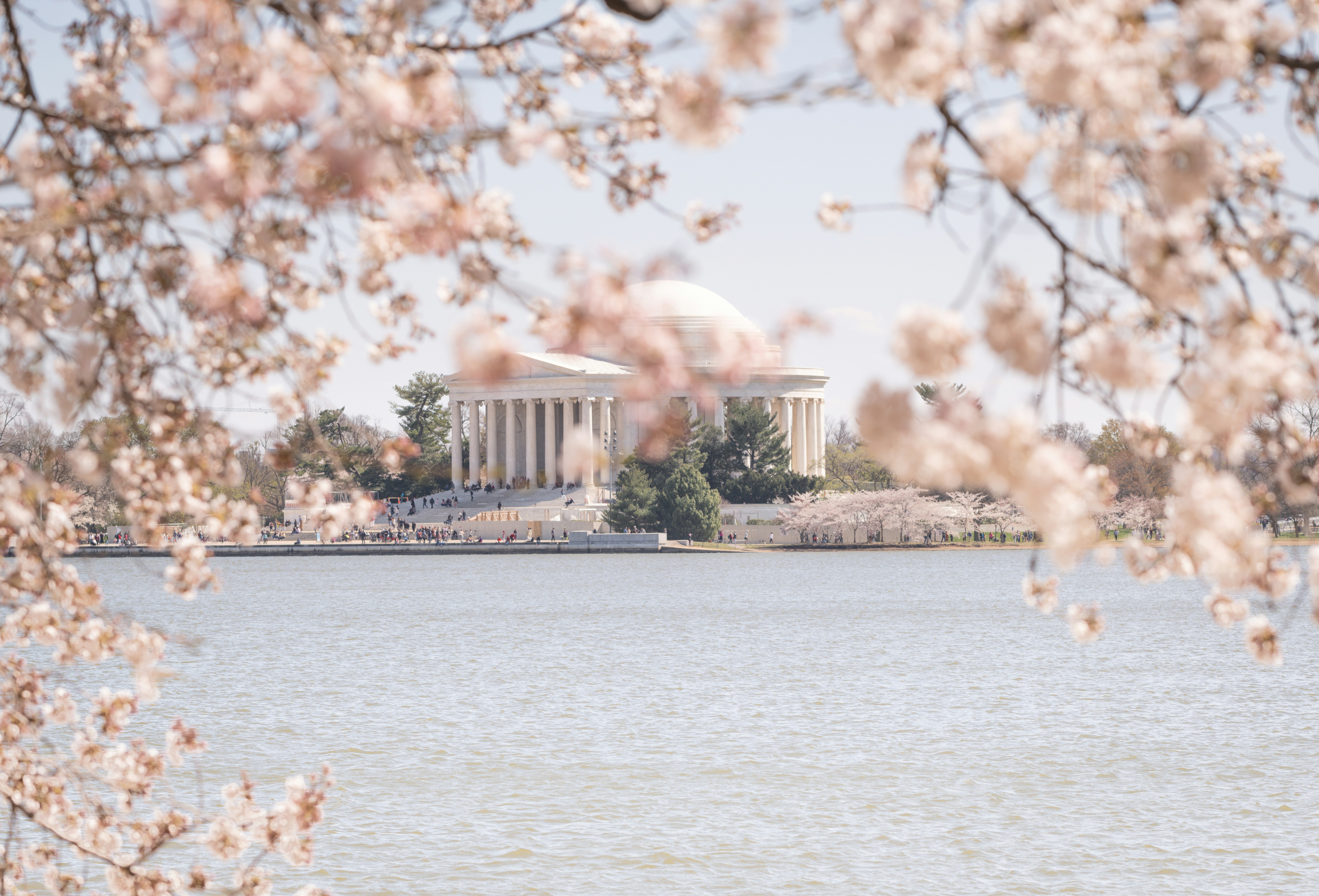 Photo by sriniunsplash