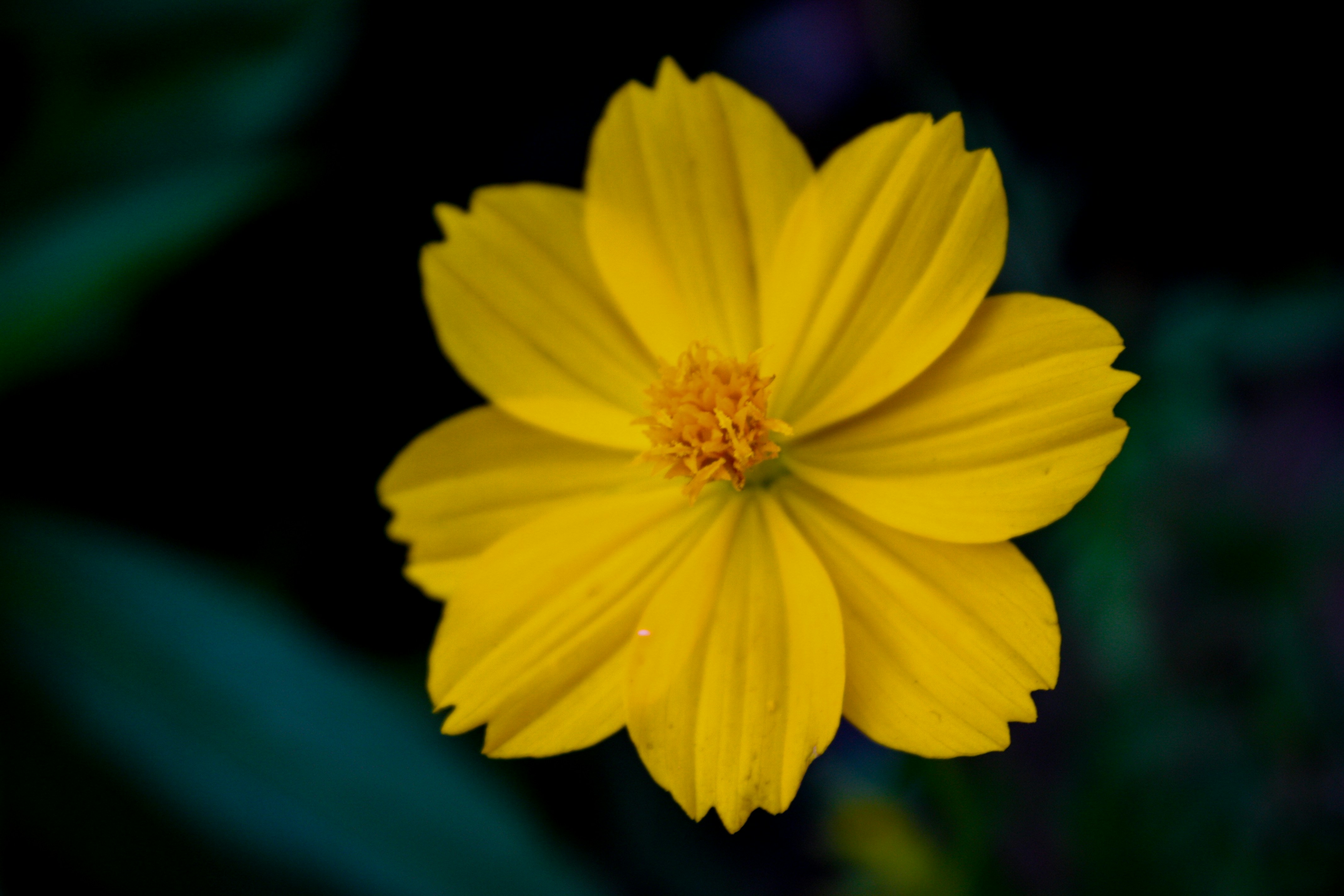 Photo by neelakshi_singh_