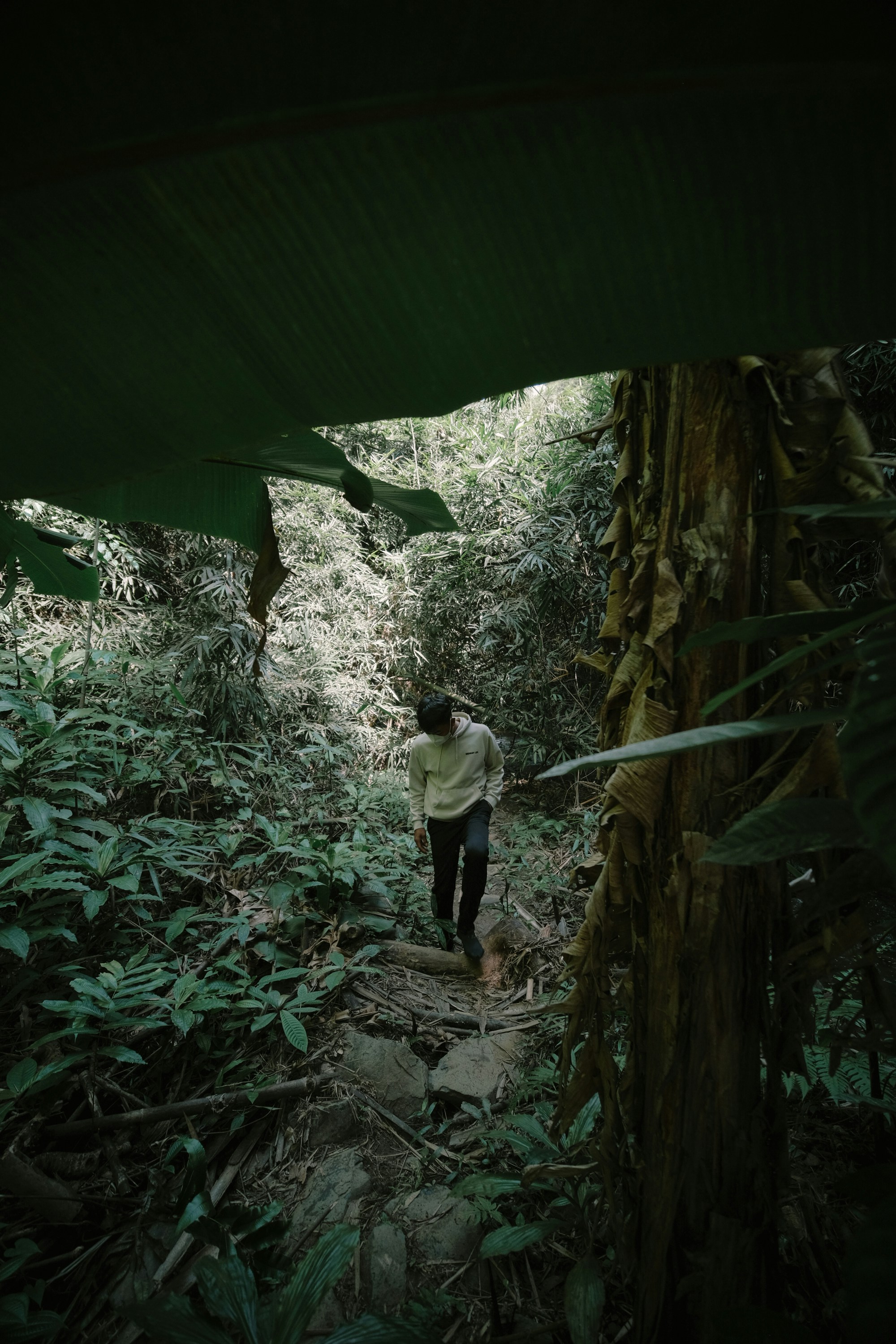 Photo by nguyentrungnguyen