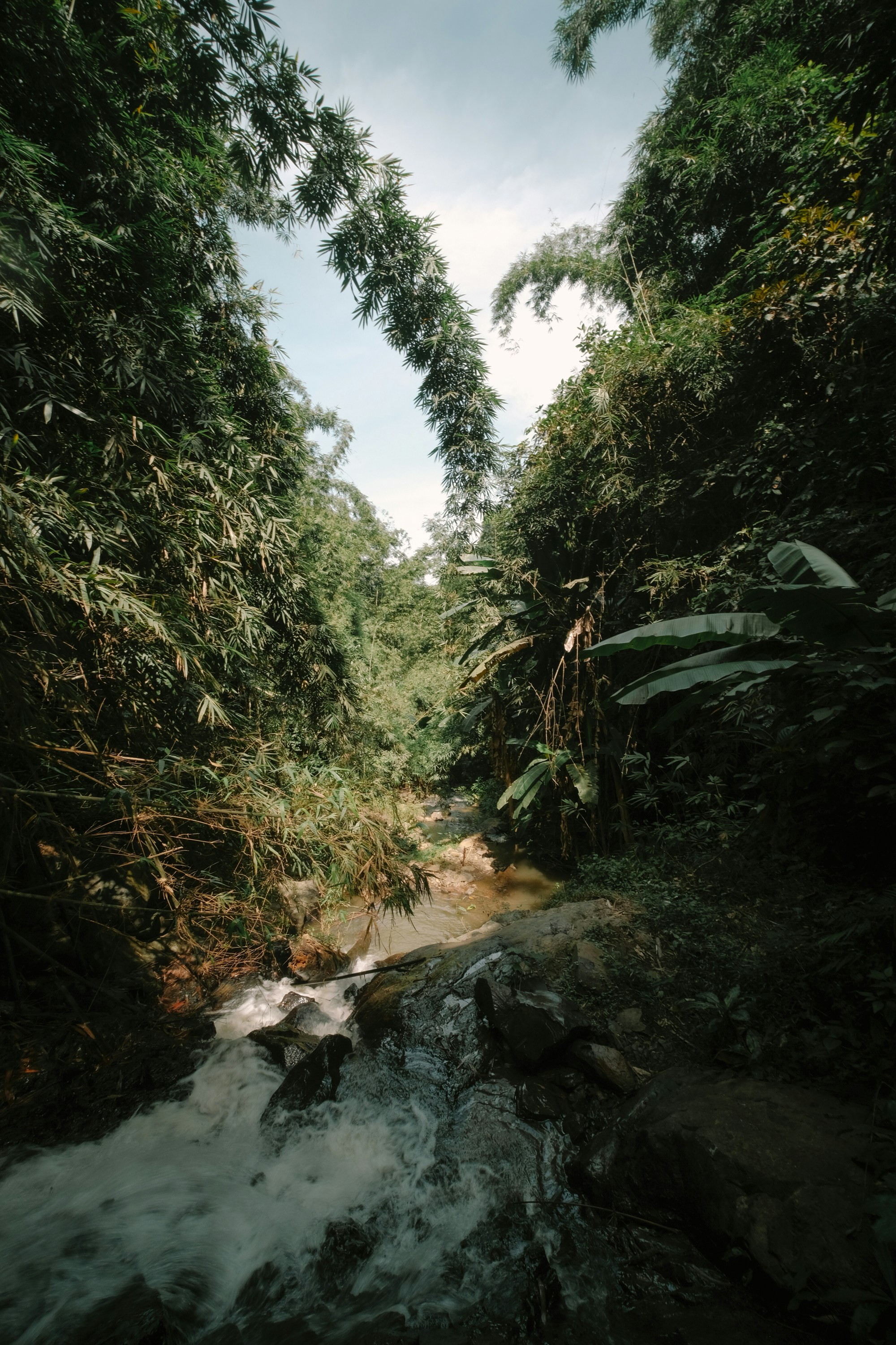 Photo by nguyentrungnguyen