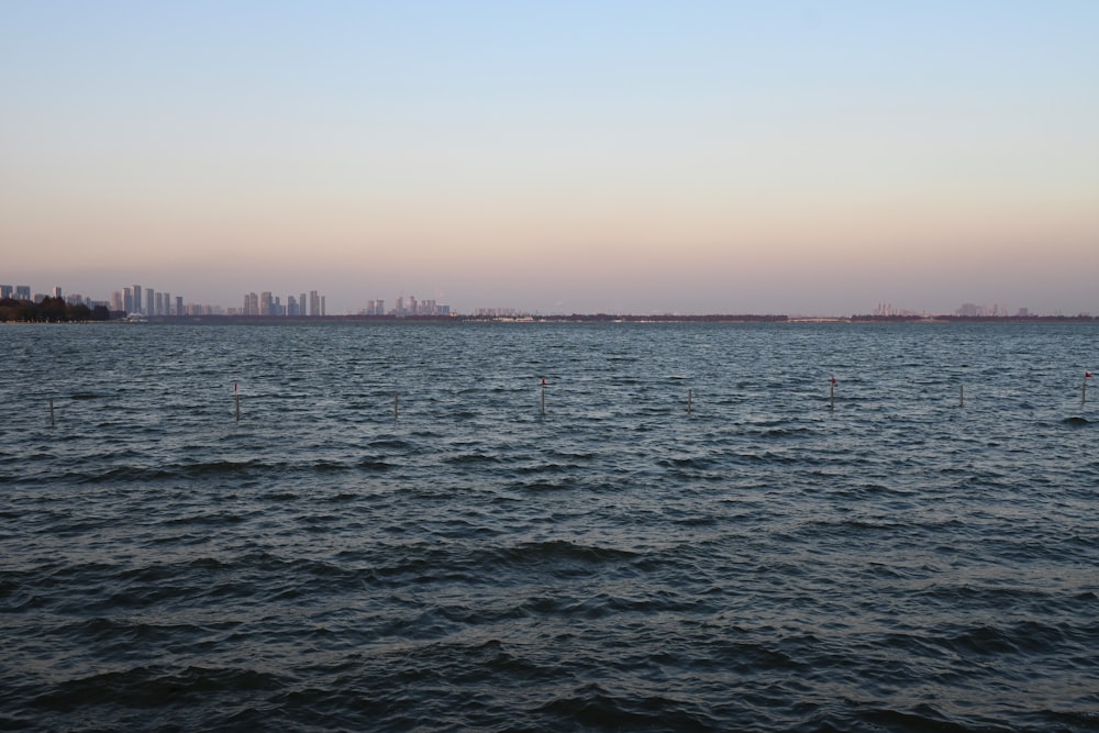 a body of water with a city in the background