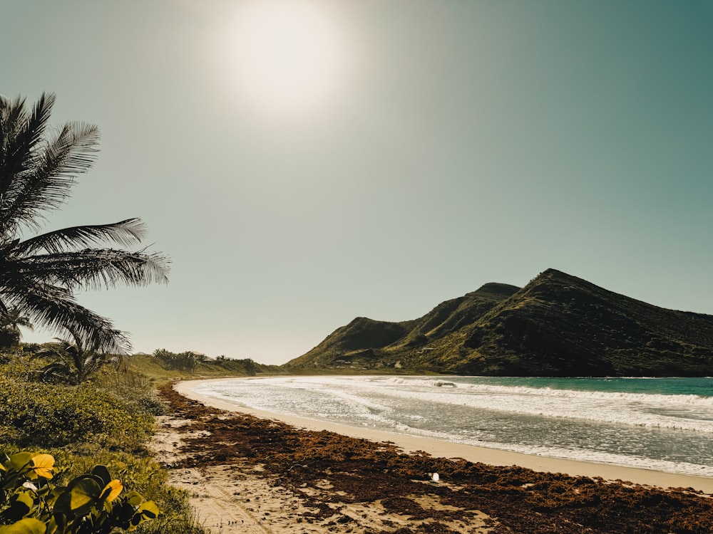 the sun is shining over a sandy beach