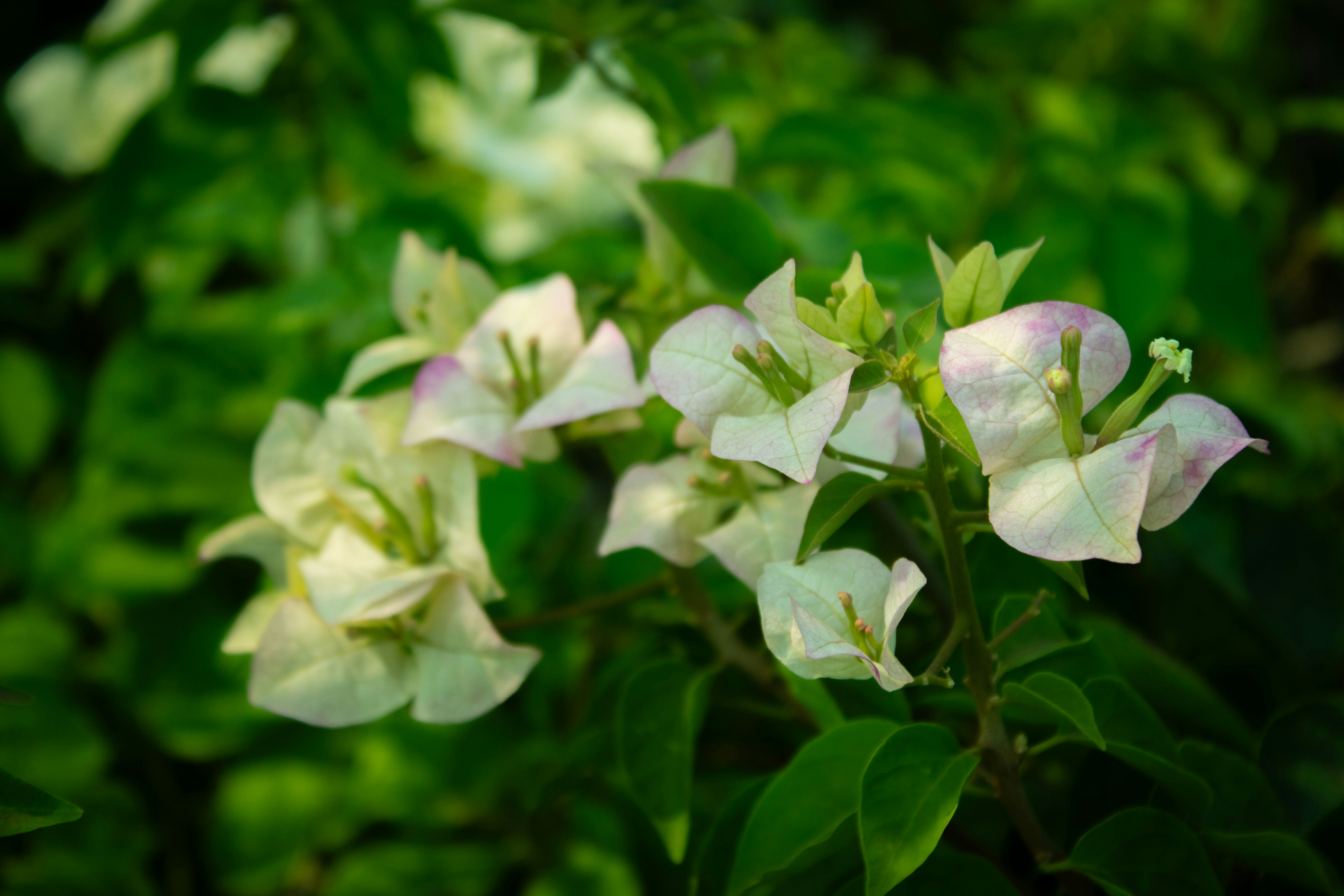 Photo by audumbar999