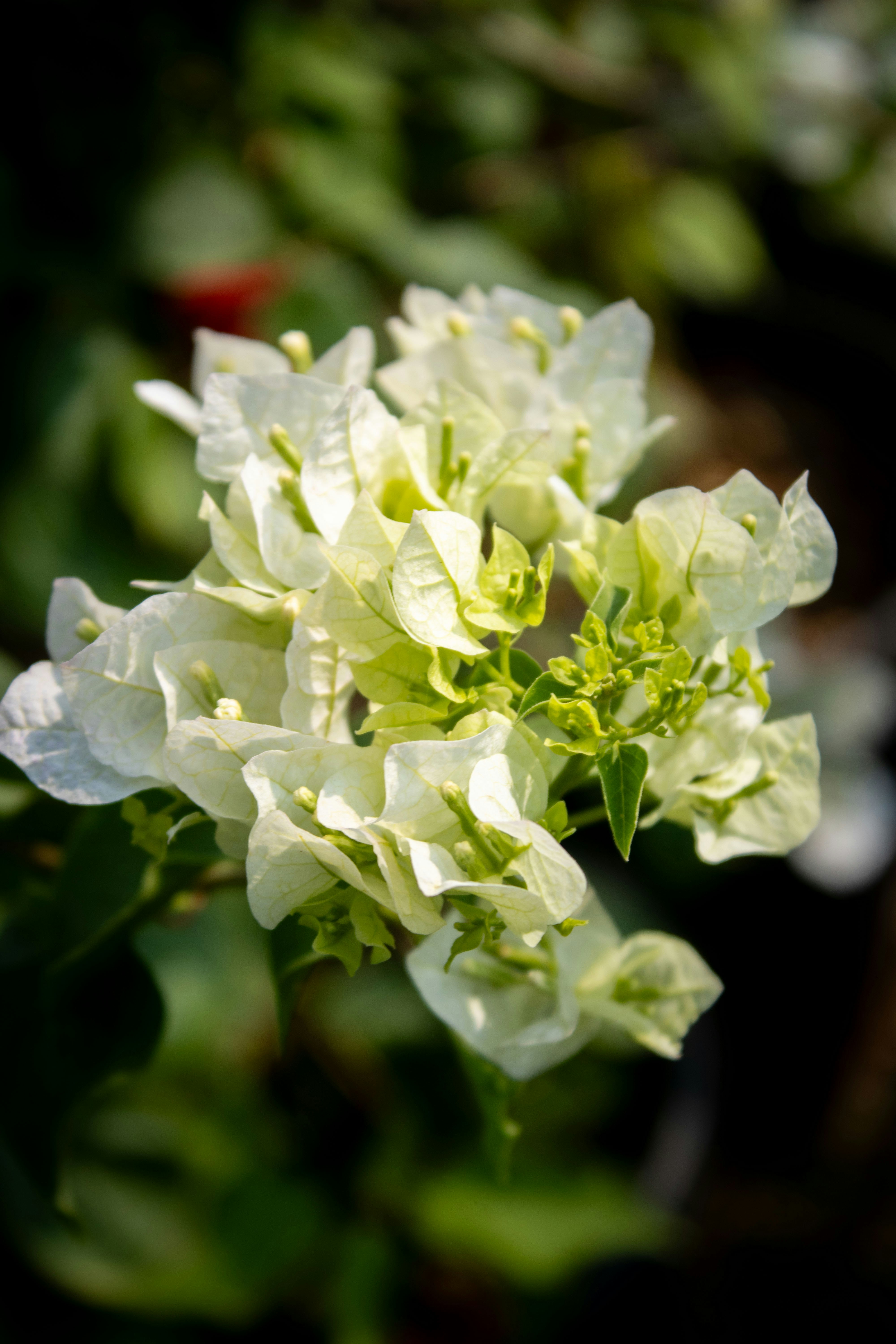 Photo by audumbar999