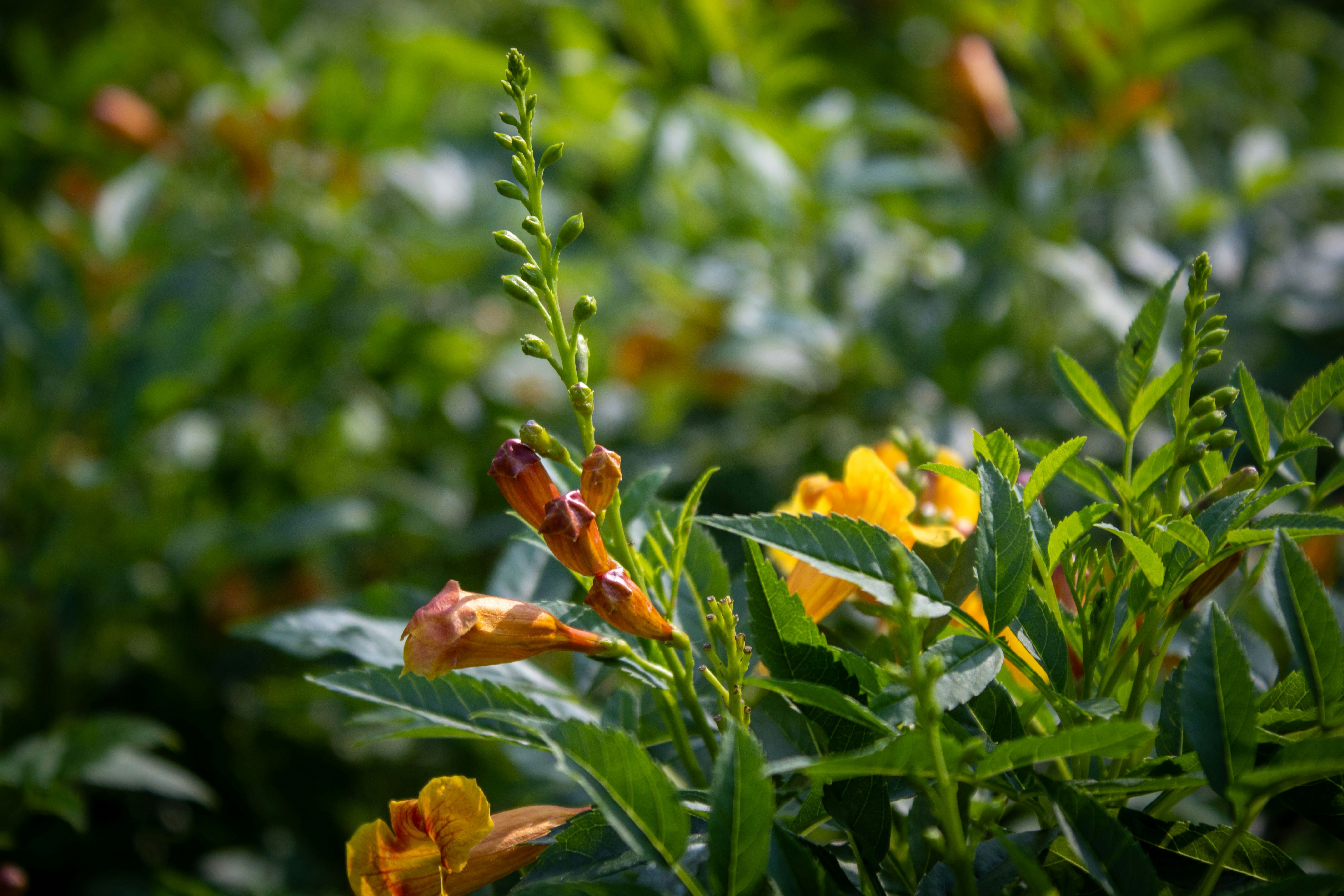 Photo by audumbar999