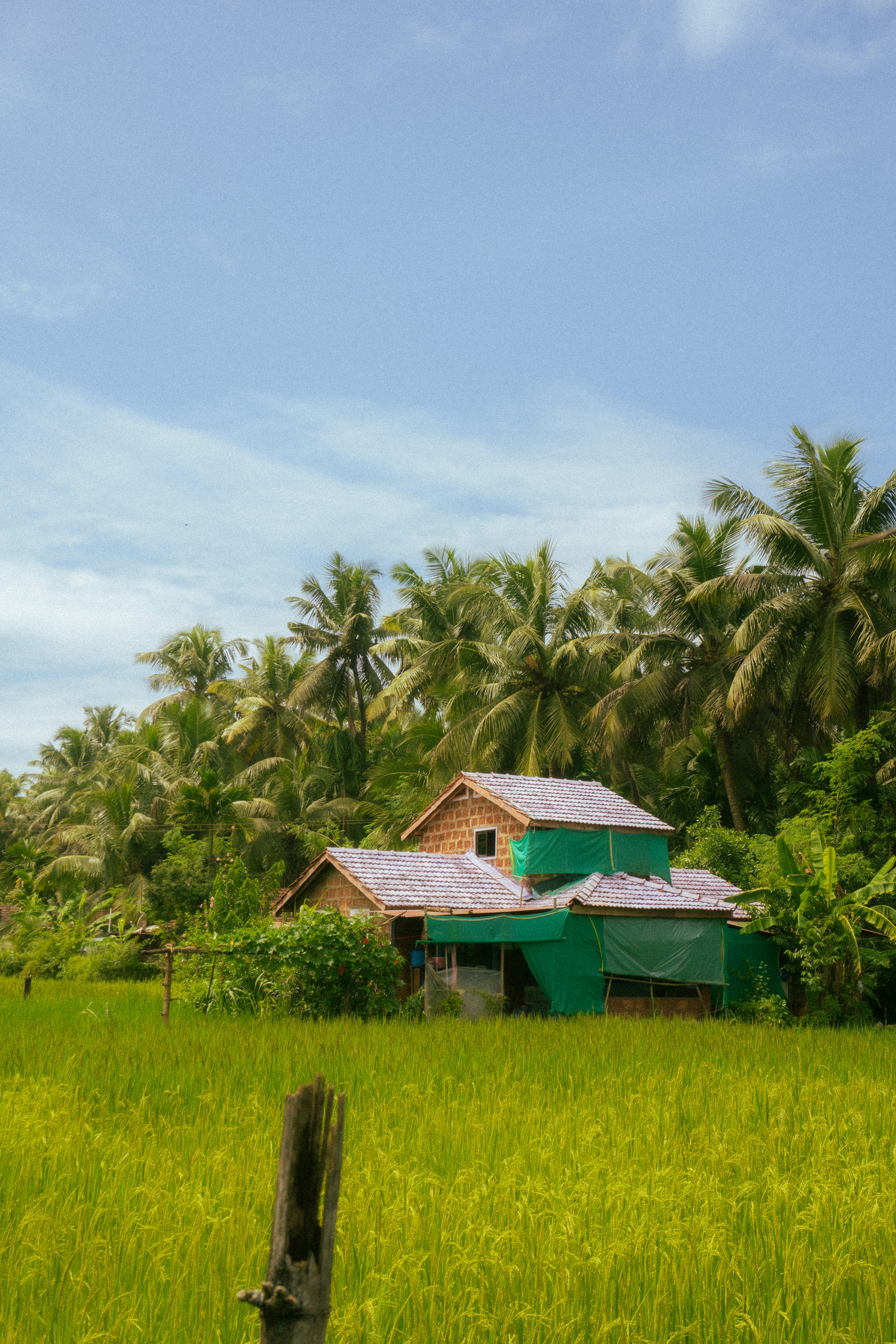 Photo by notsoaakash