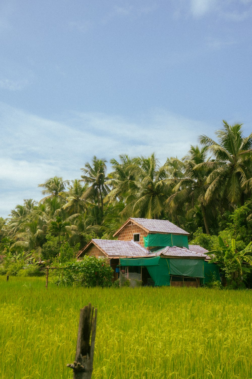 a house in the middle of a lush green field