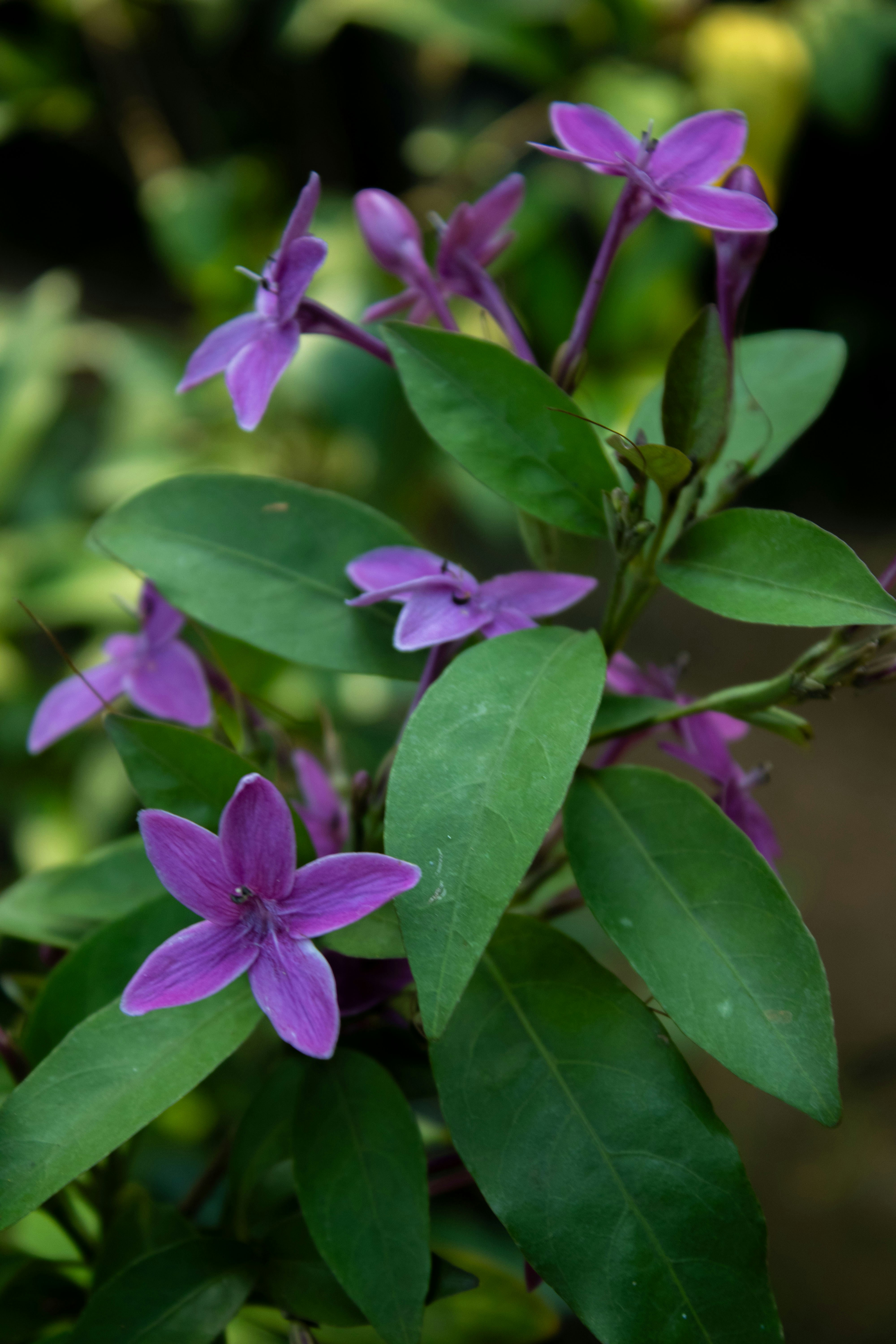 Photo by audumbar999