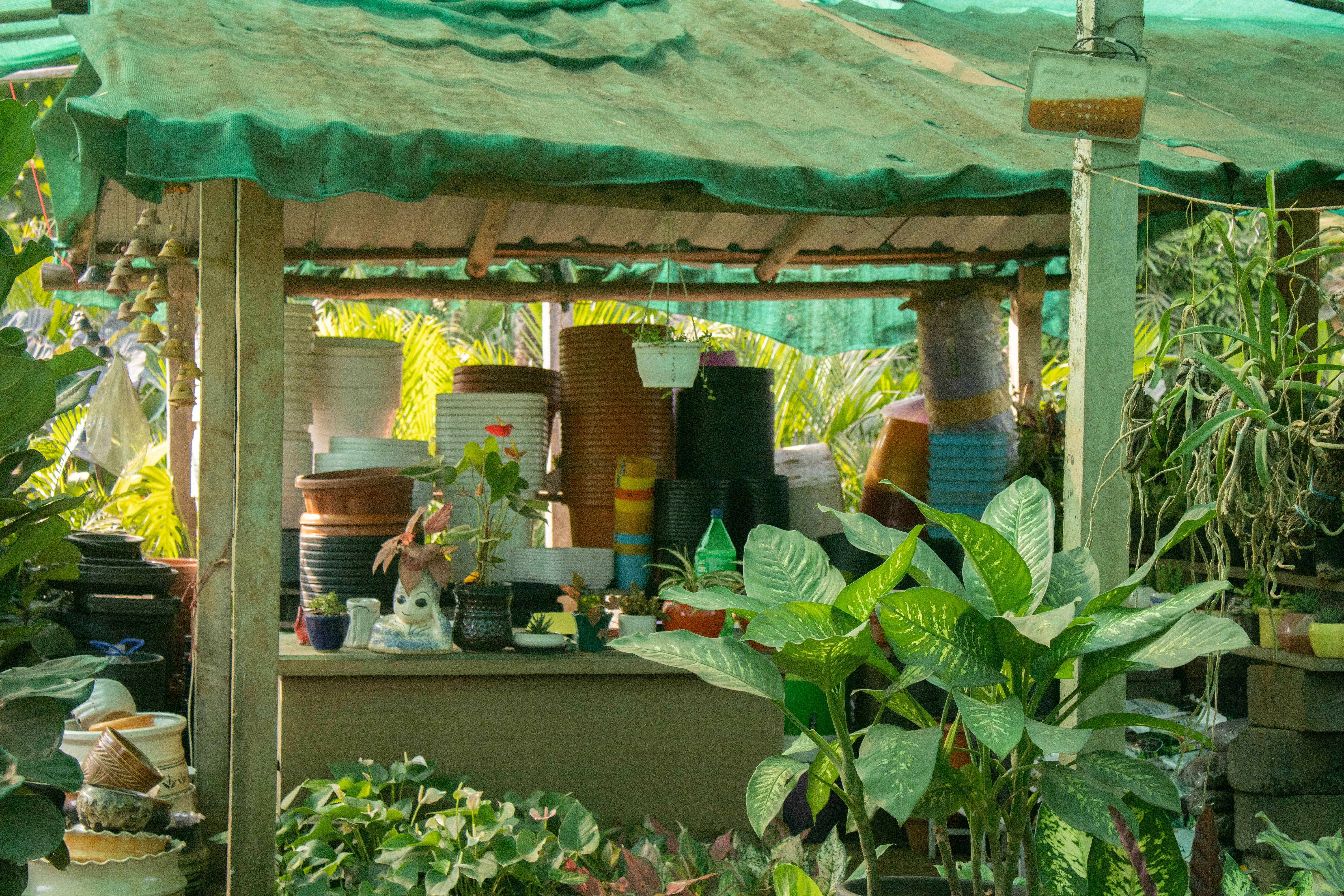 Photo by audumbar999