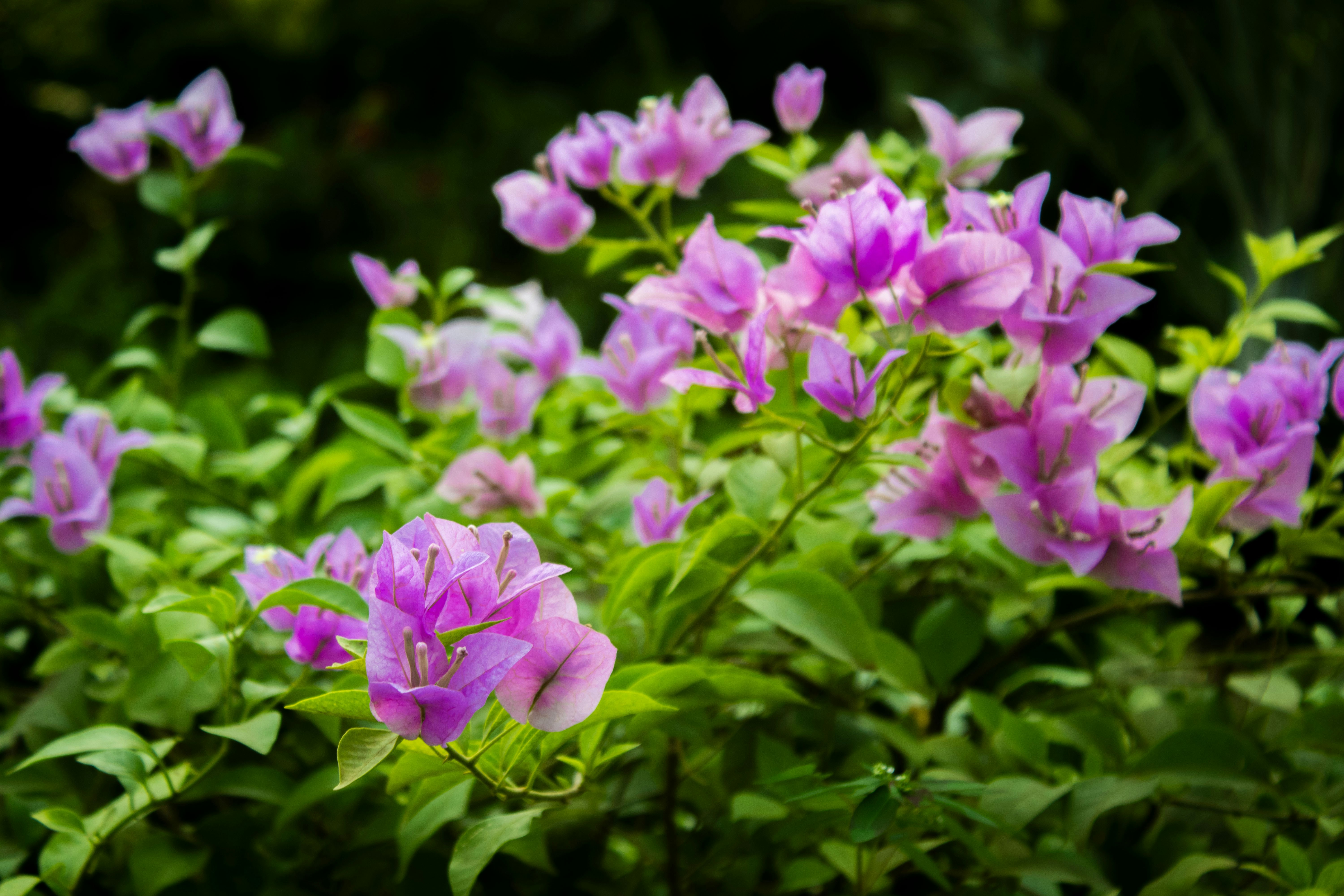 Photo by audumbar999