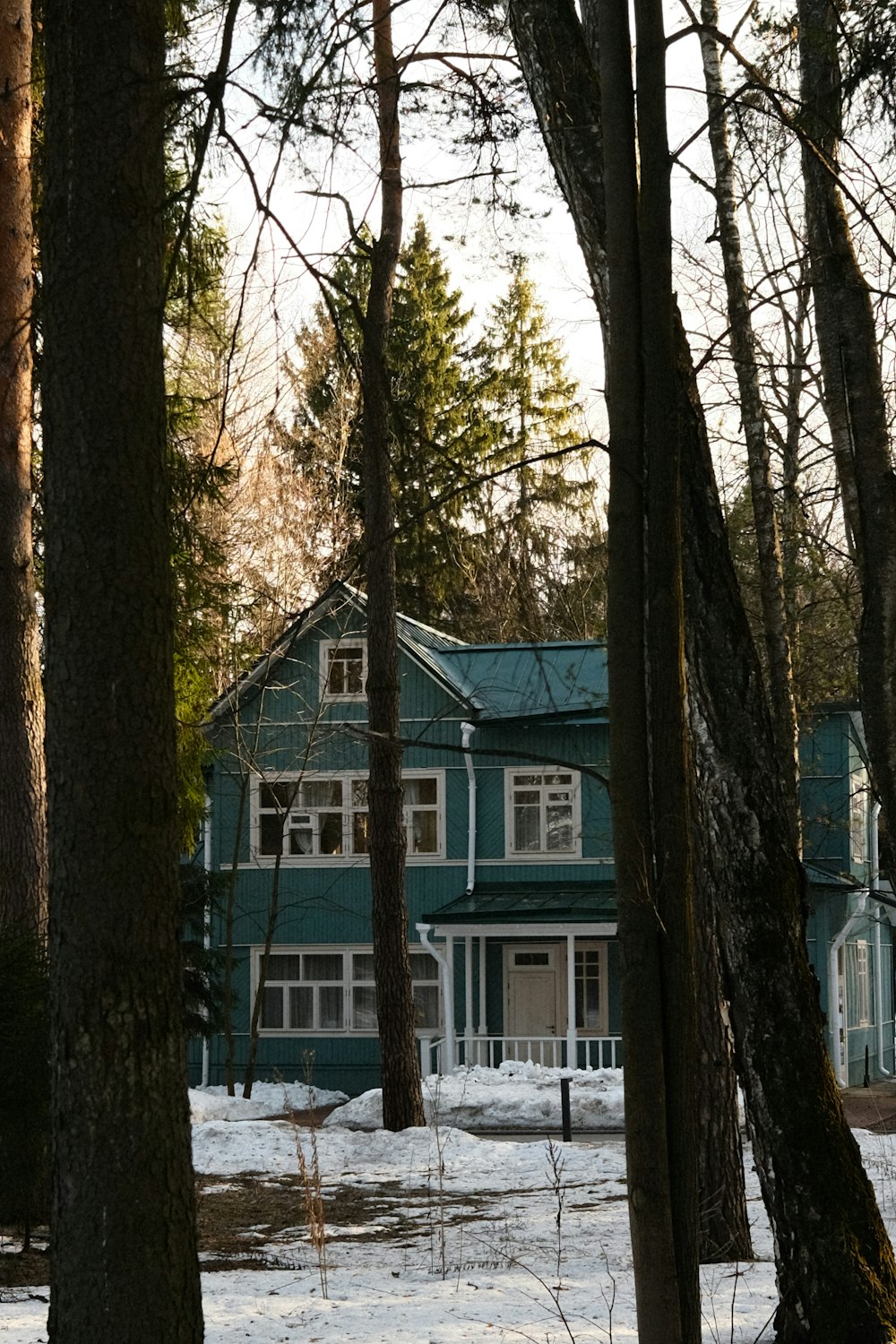 a blue house surrounded by trees and snow