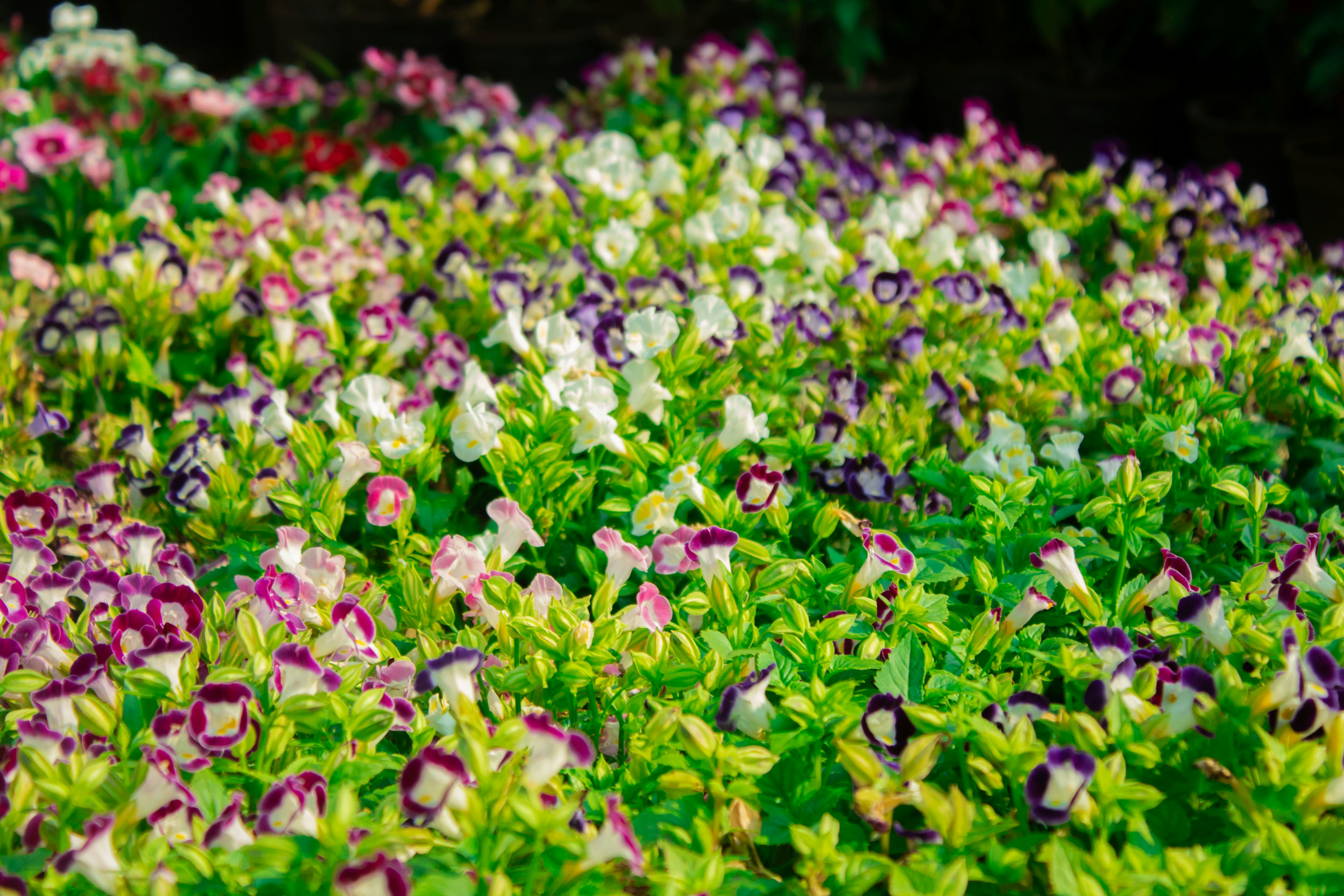 Photo by audumbar999