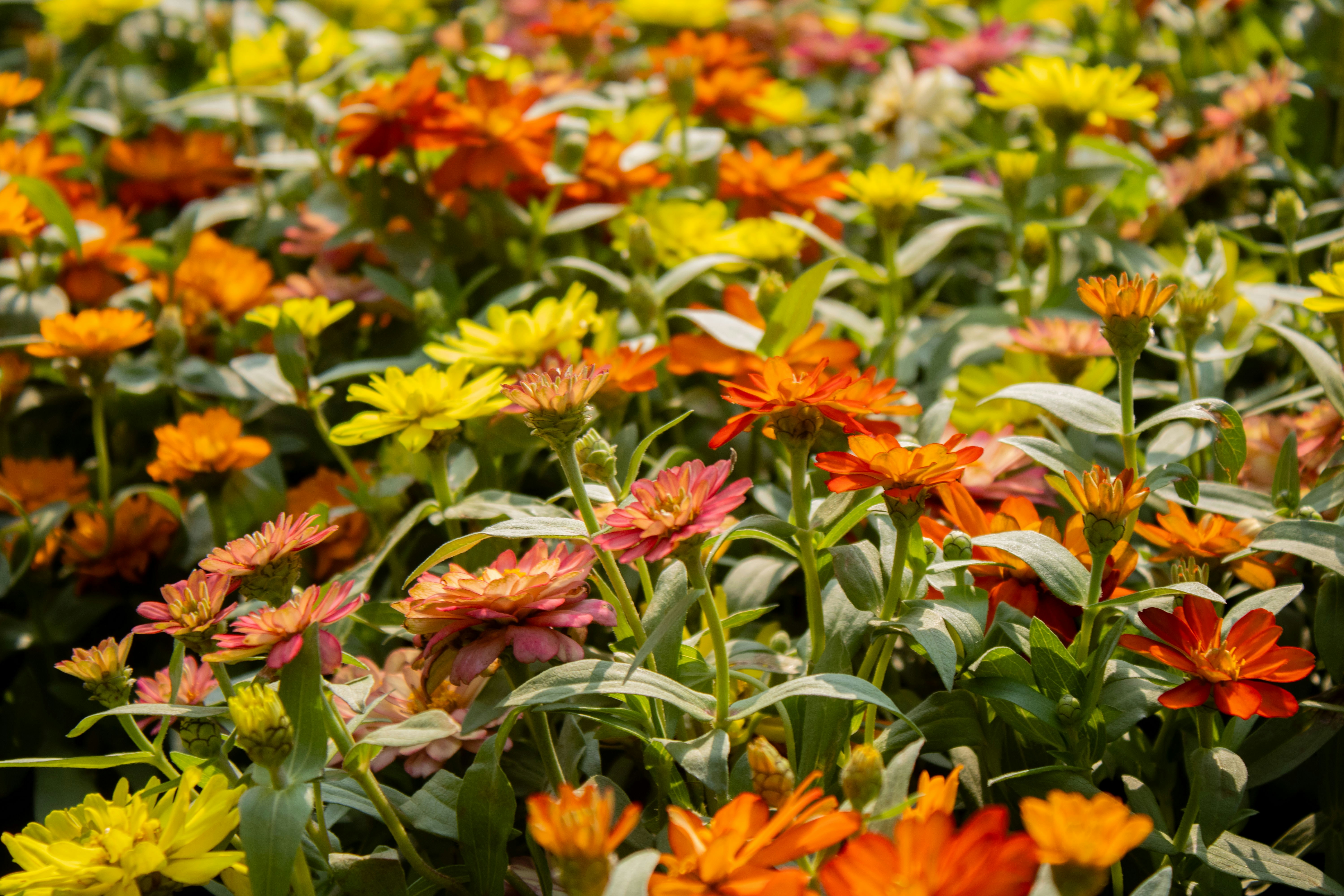 Photo by audumbar999