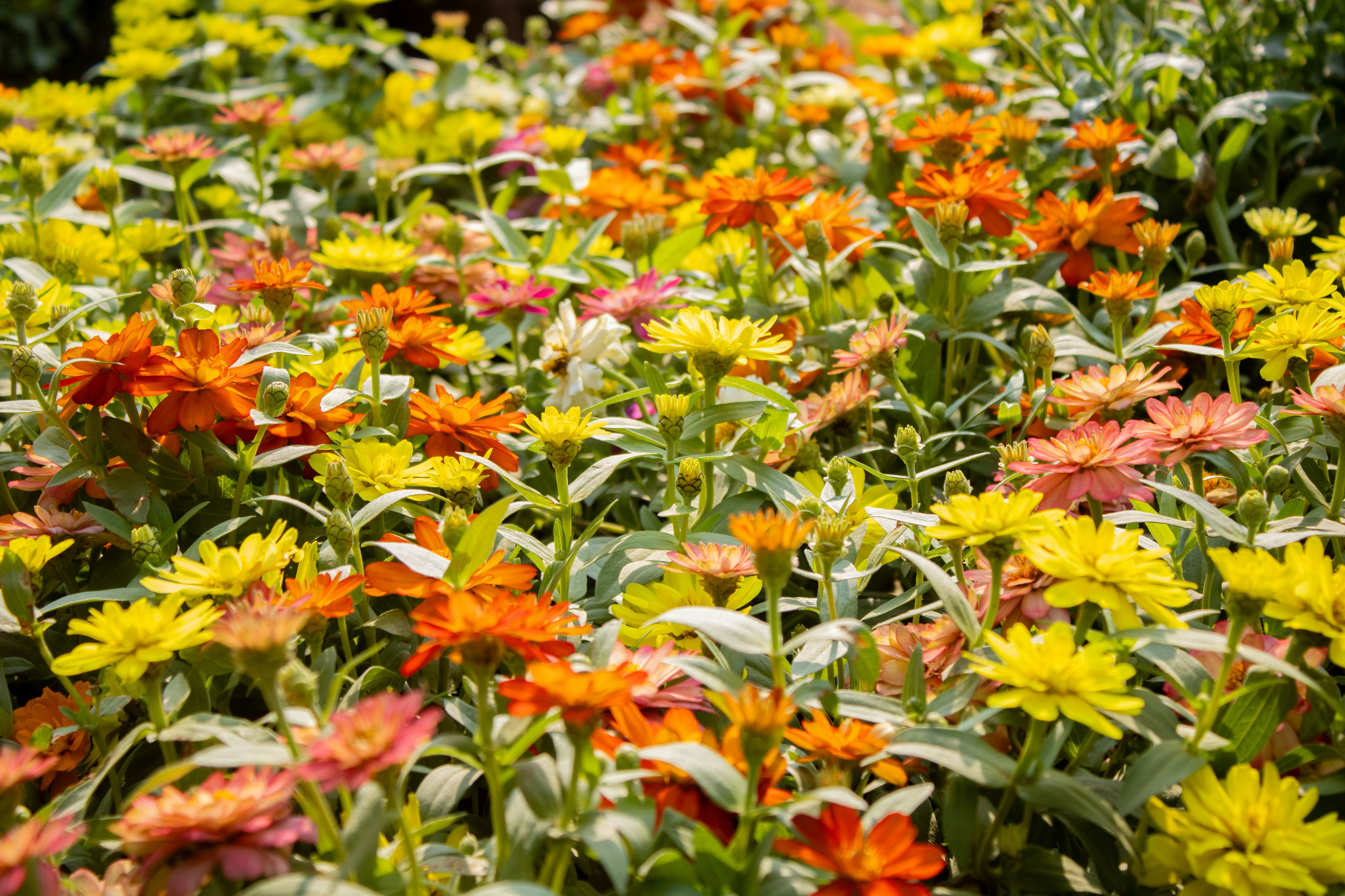 Photo by audumbar999