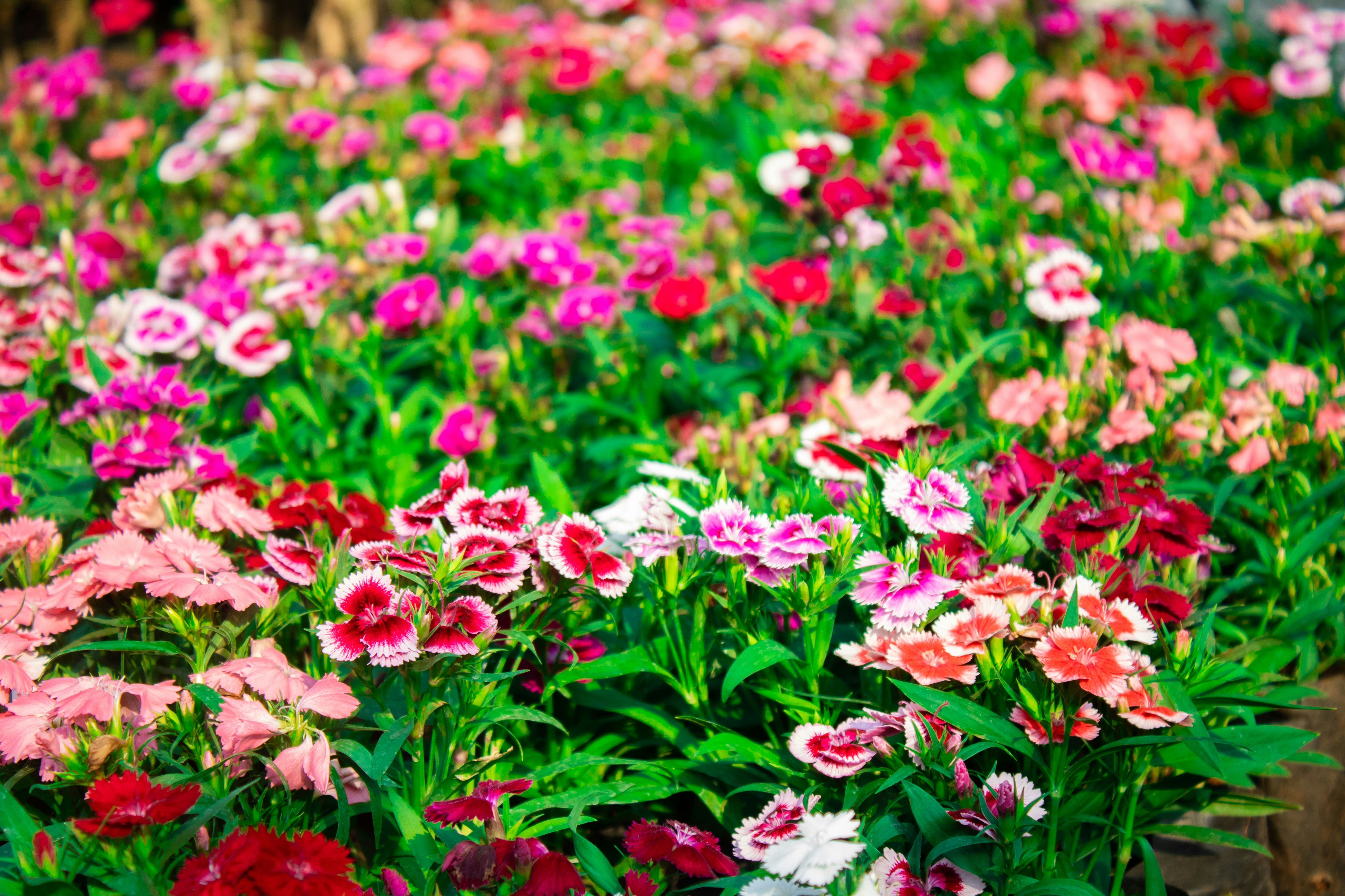 Photo by audumbar999