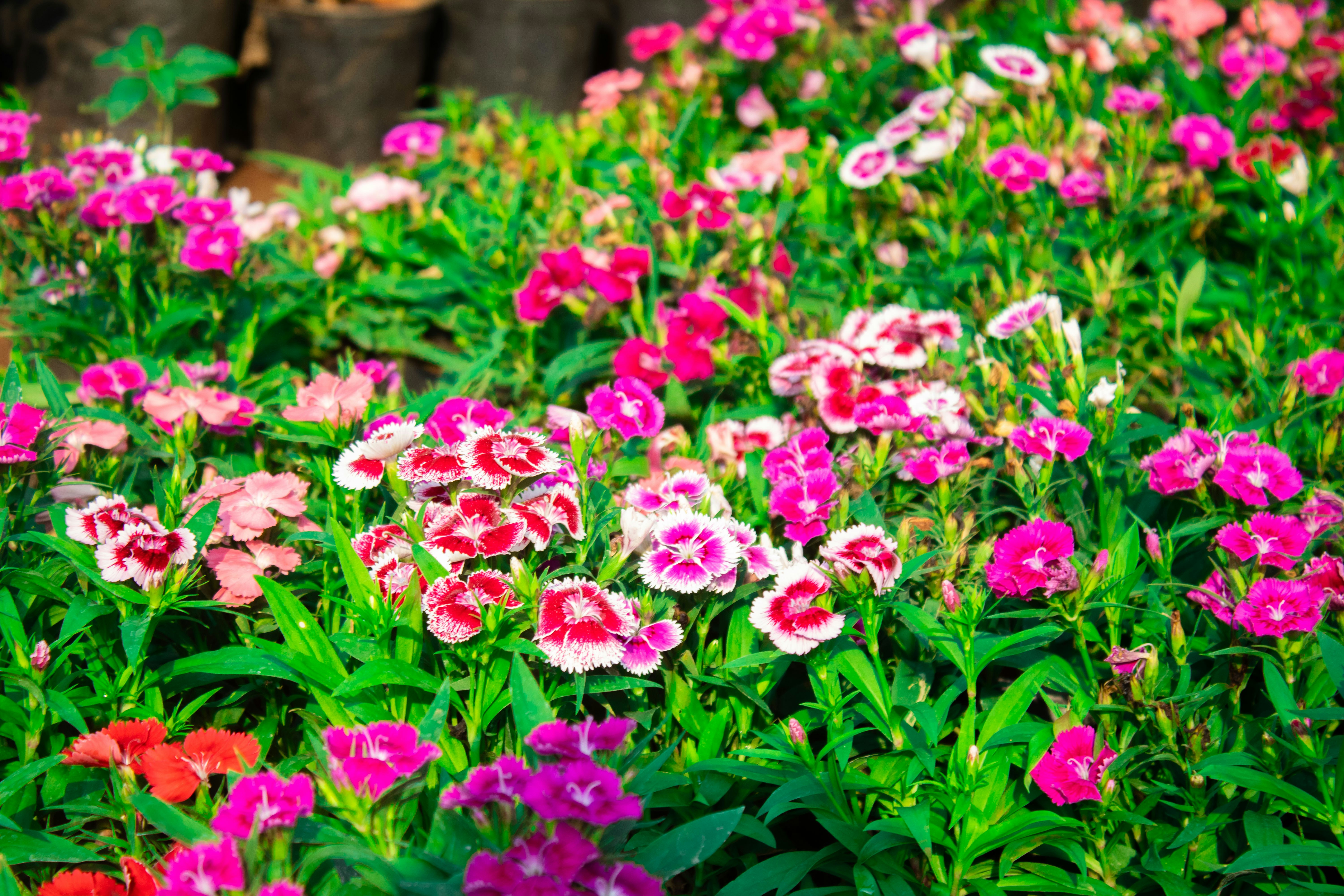 Photo by audumbar999