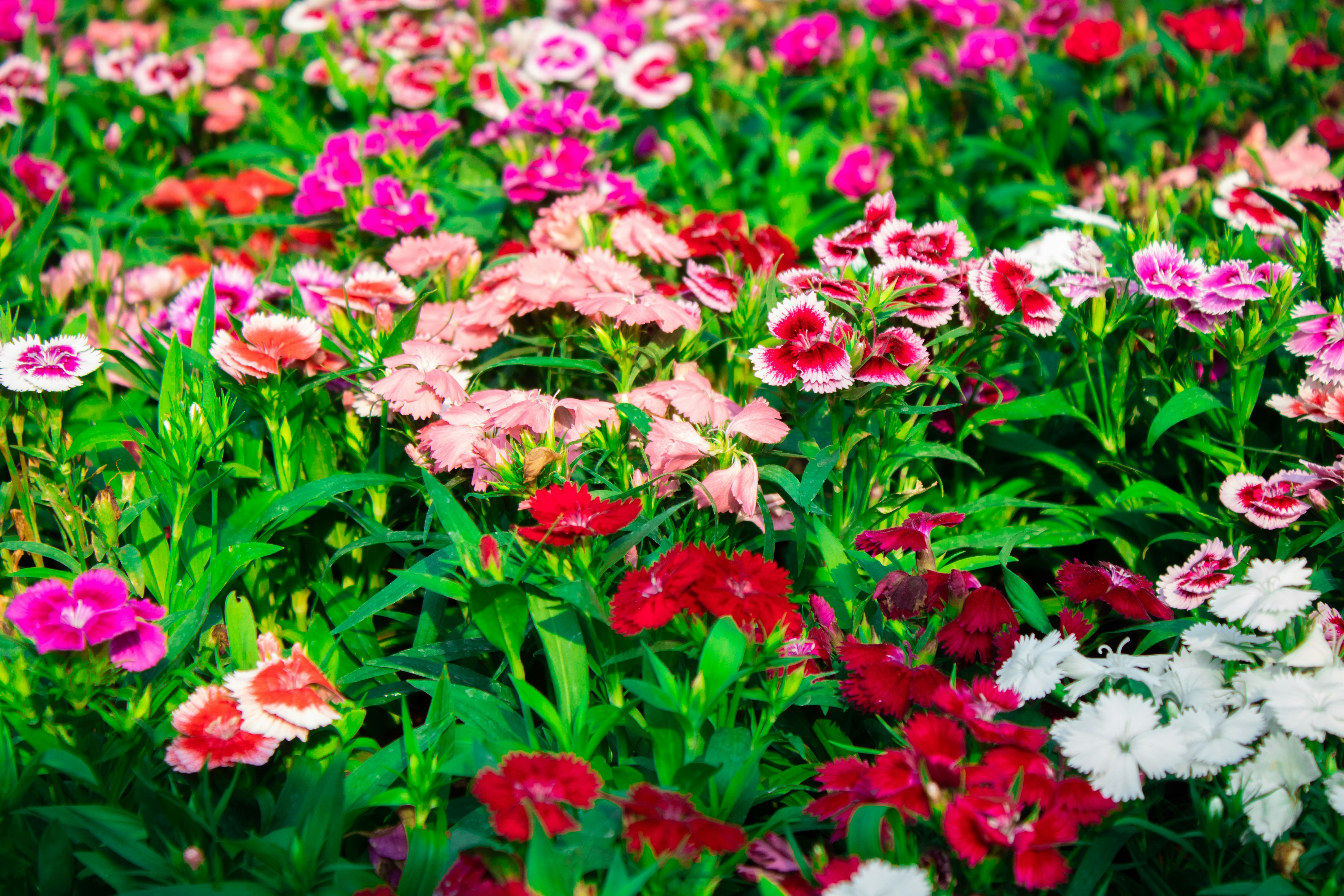 Photo by audumbar999