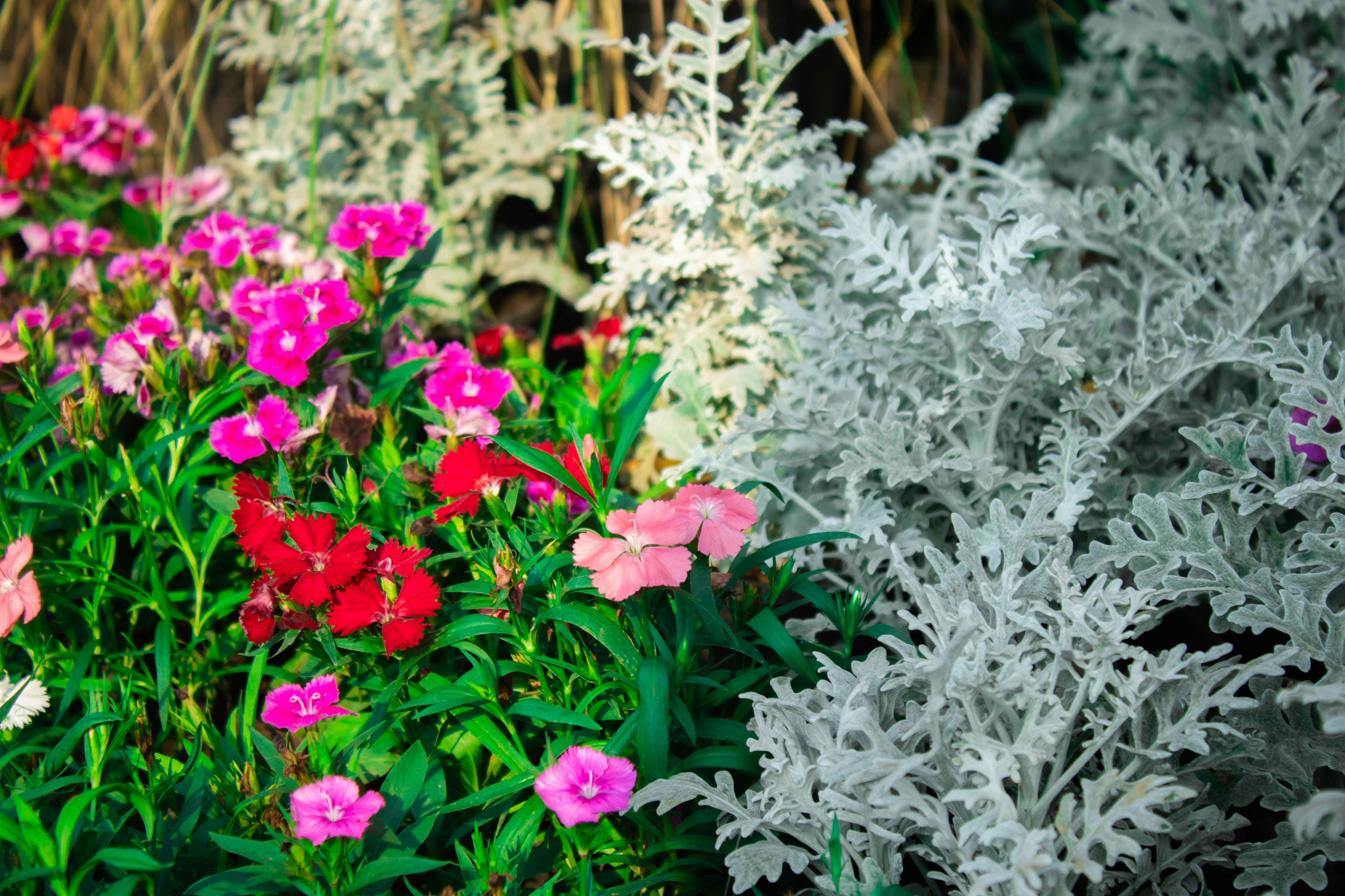 Photo by audumbar999