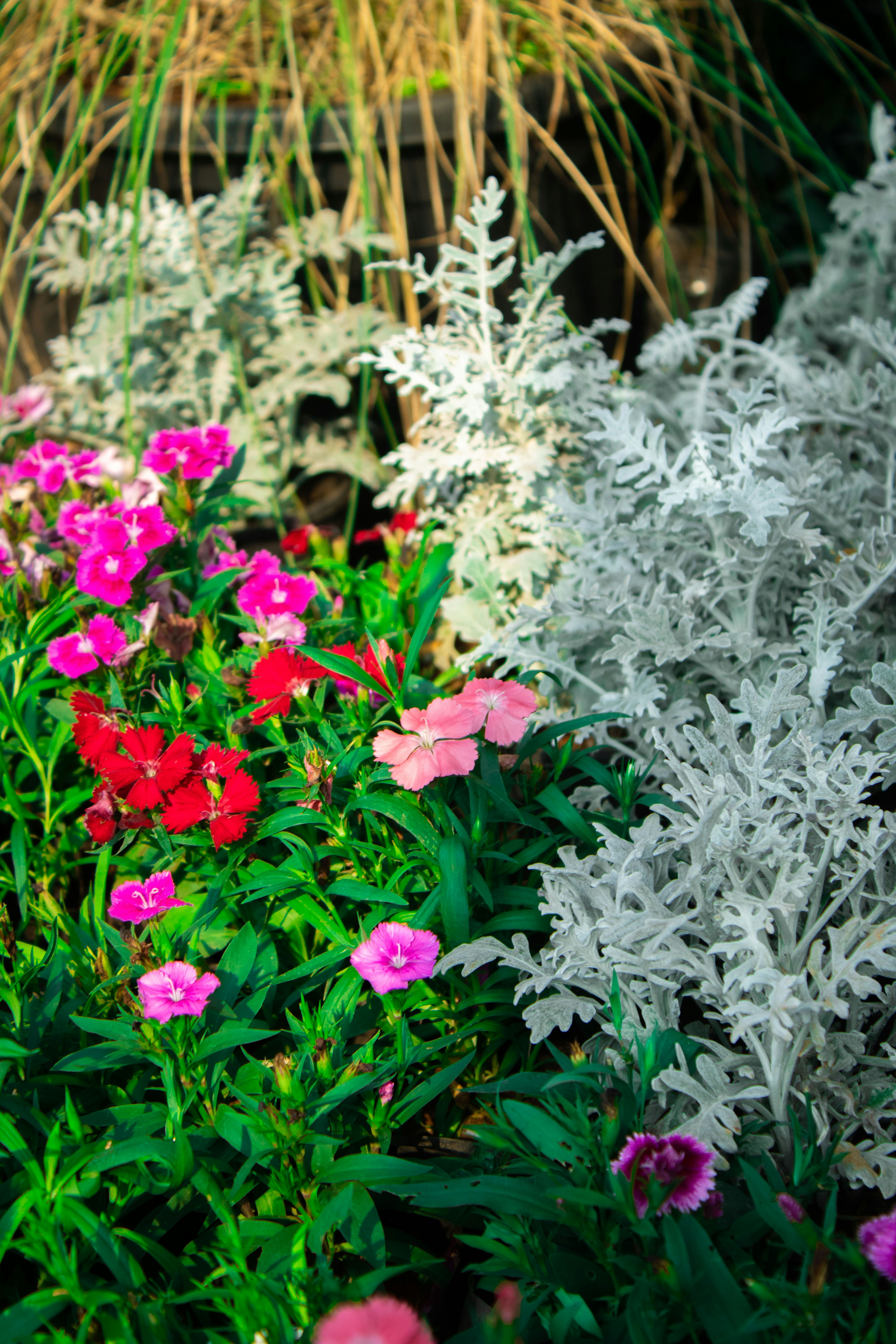 Photo by audumbar999