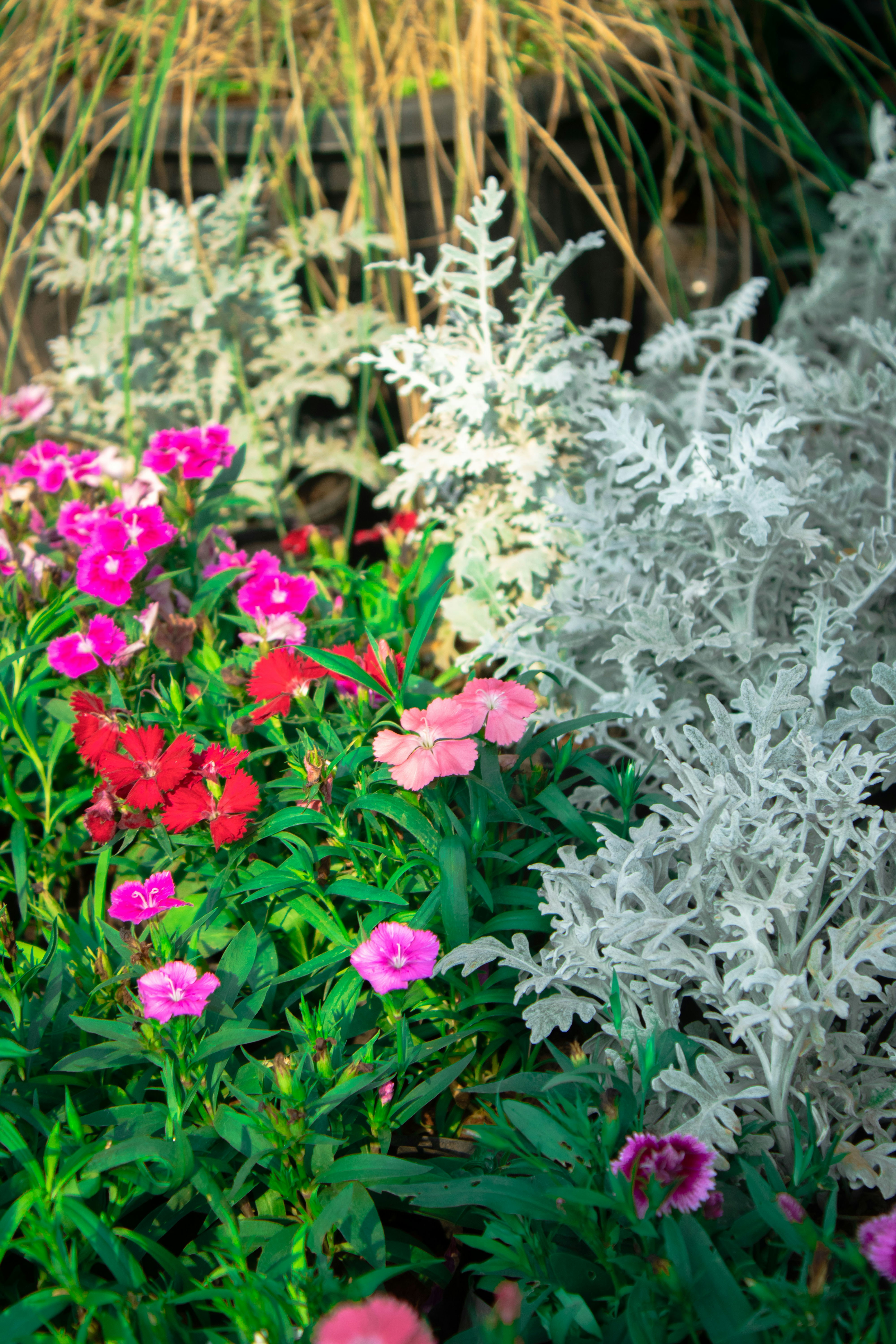 Photo by audumbar999