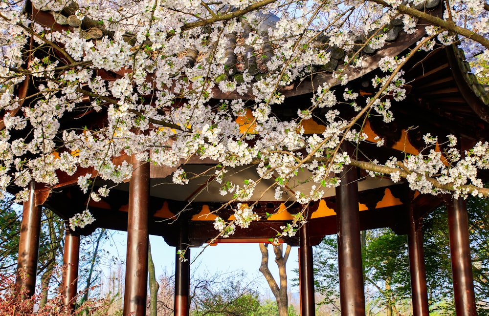 a gazebo covered in white flowers under a blue sky