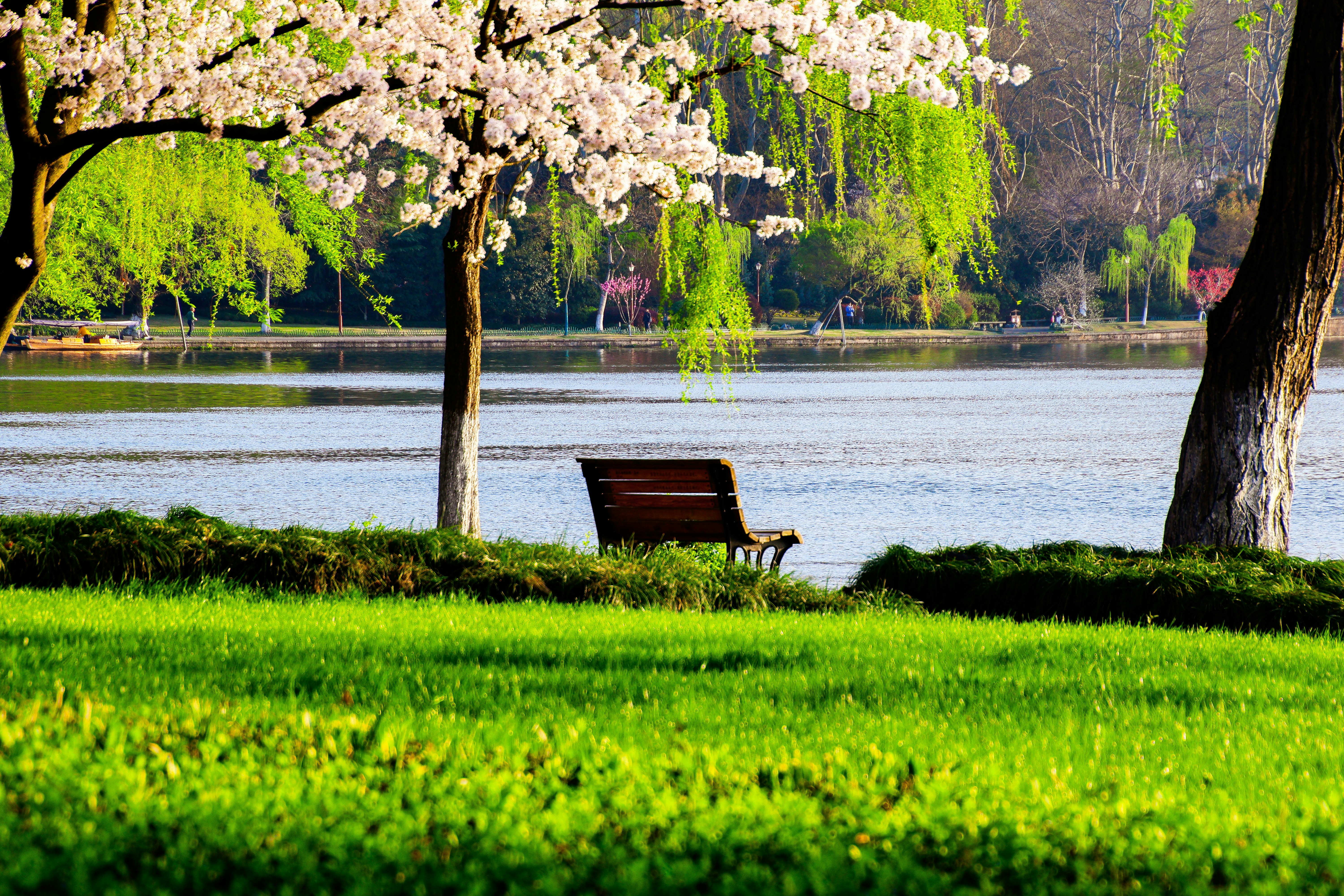 A park bench sitting next to a lake photo – Free Green Image on Unsplash